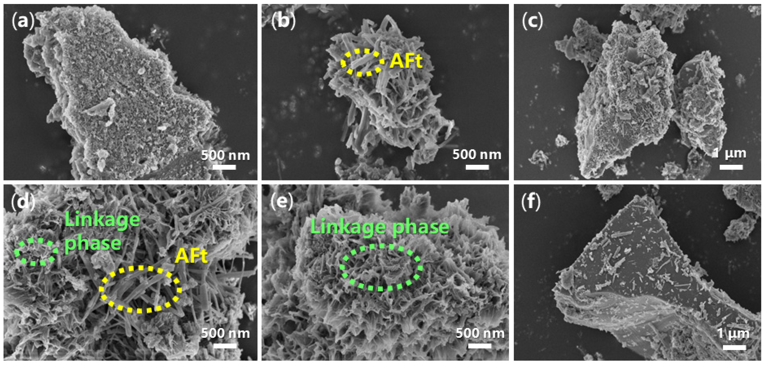 Molecules 29 04543 g011