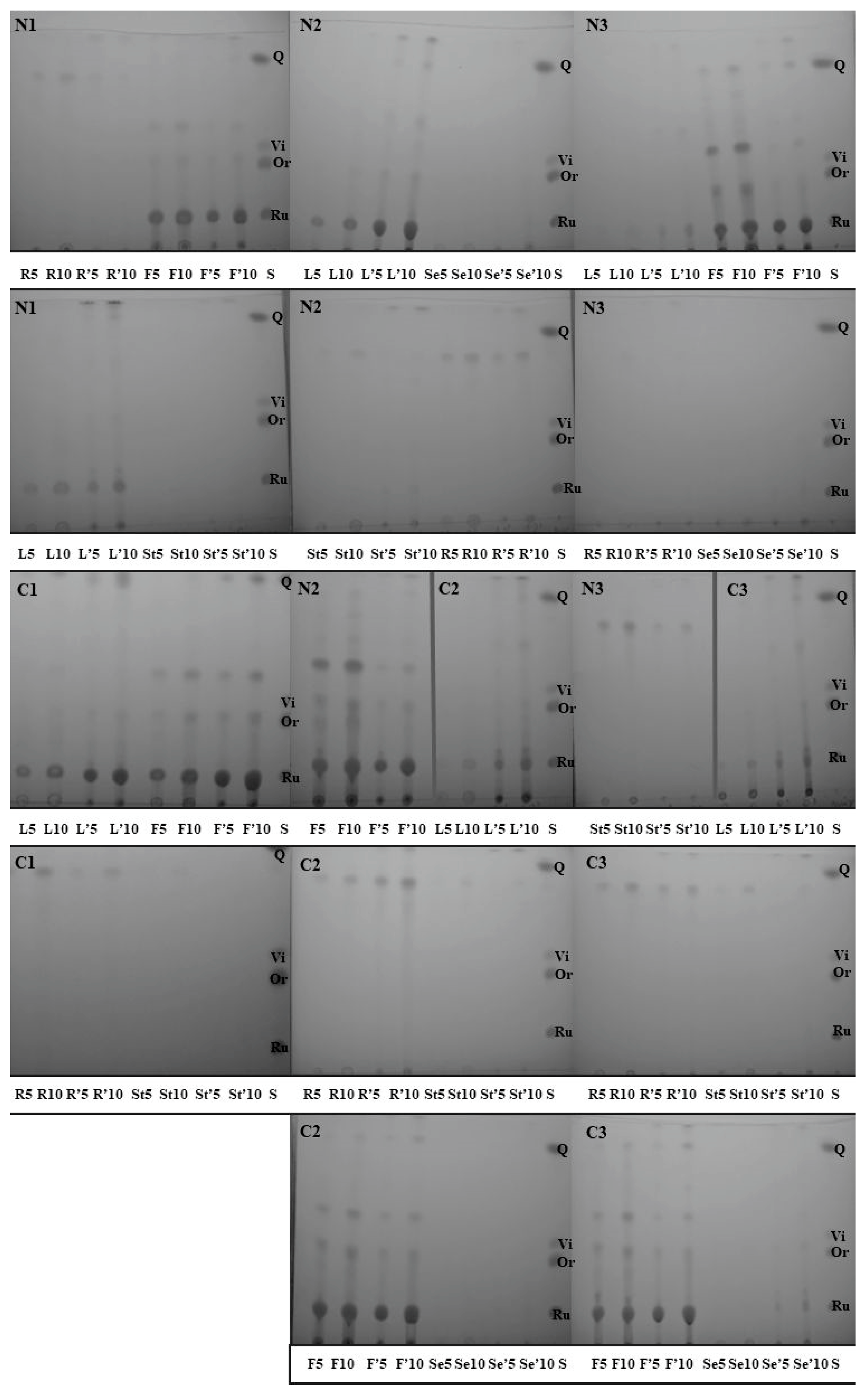 Molecules 29 04546 g002 Molecules 29 04546 g002