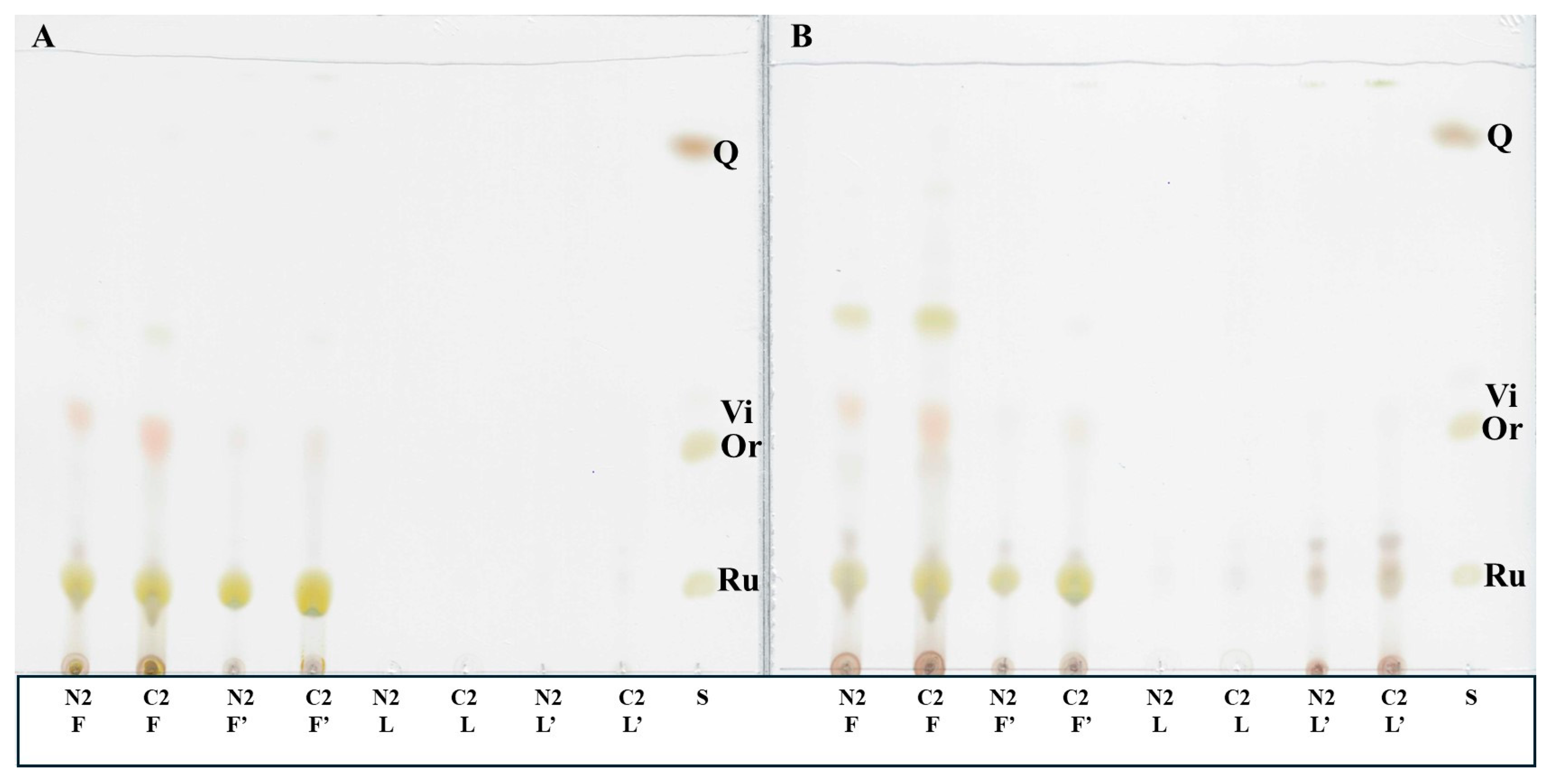 Molecules 29 04546 g003 Molecules 29 04546 g003