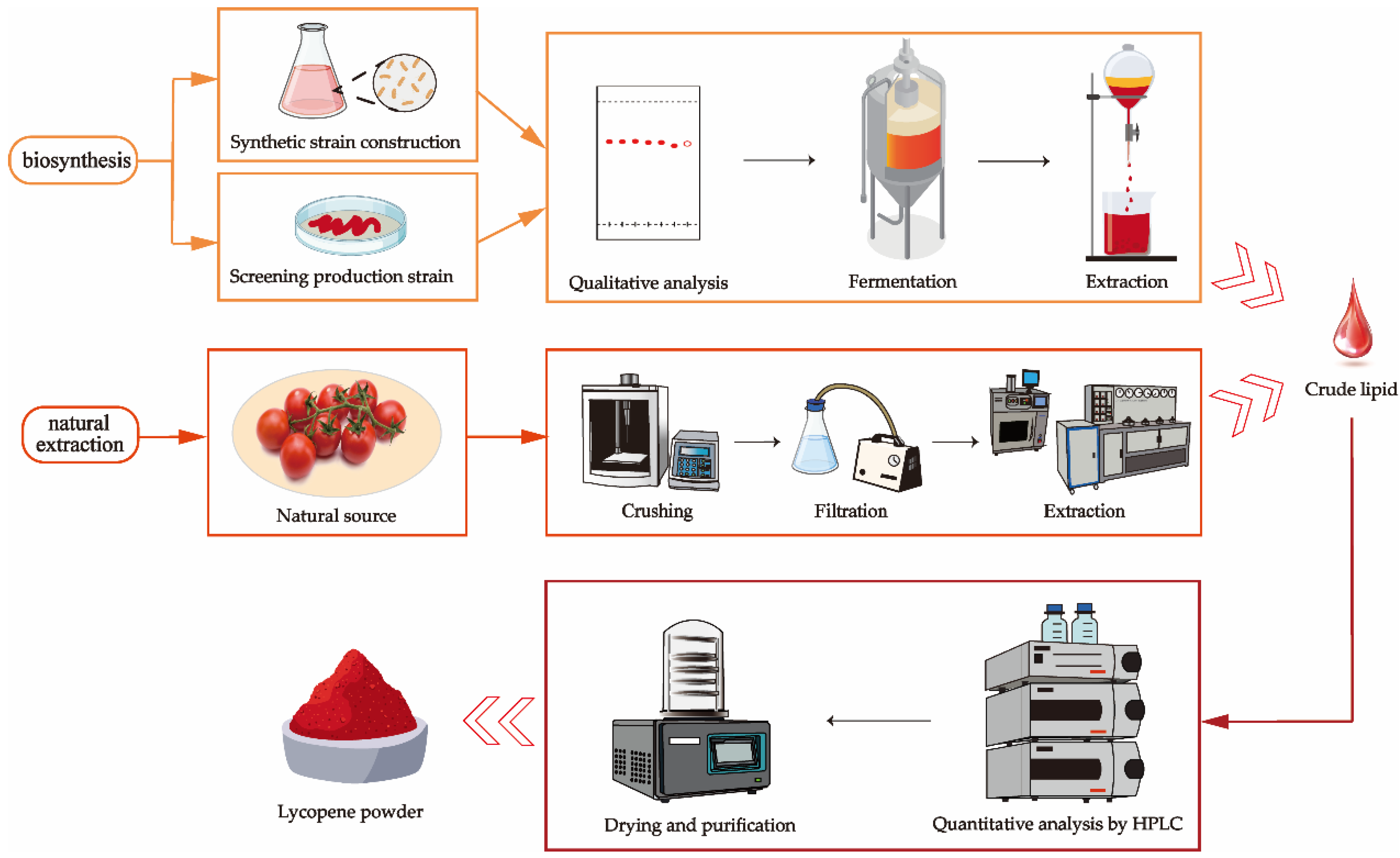 Molecules 29 04549 g003 Molecules 29 04549 g003