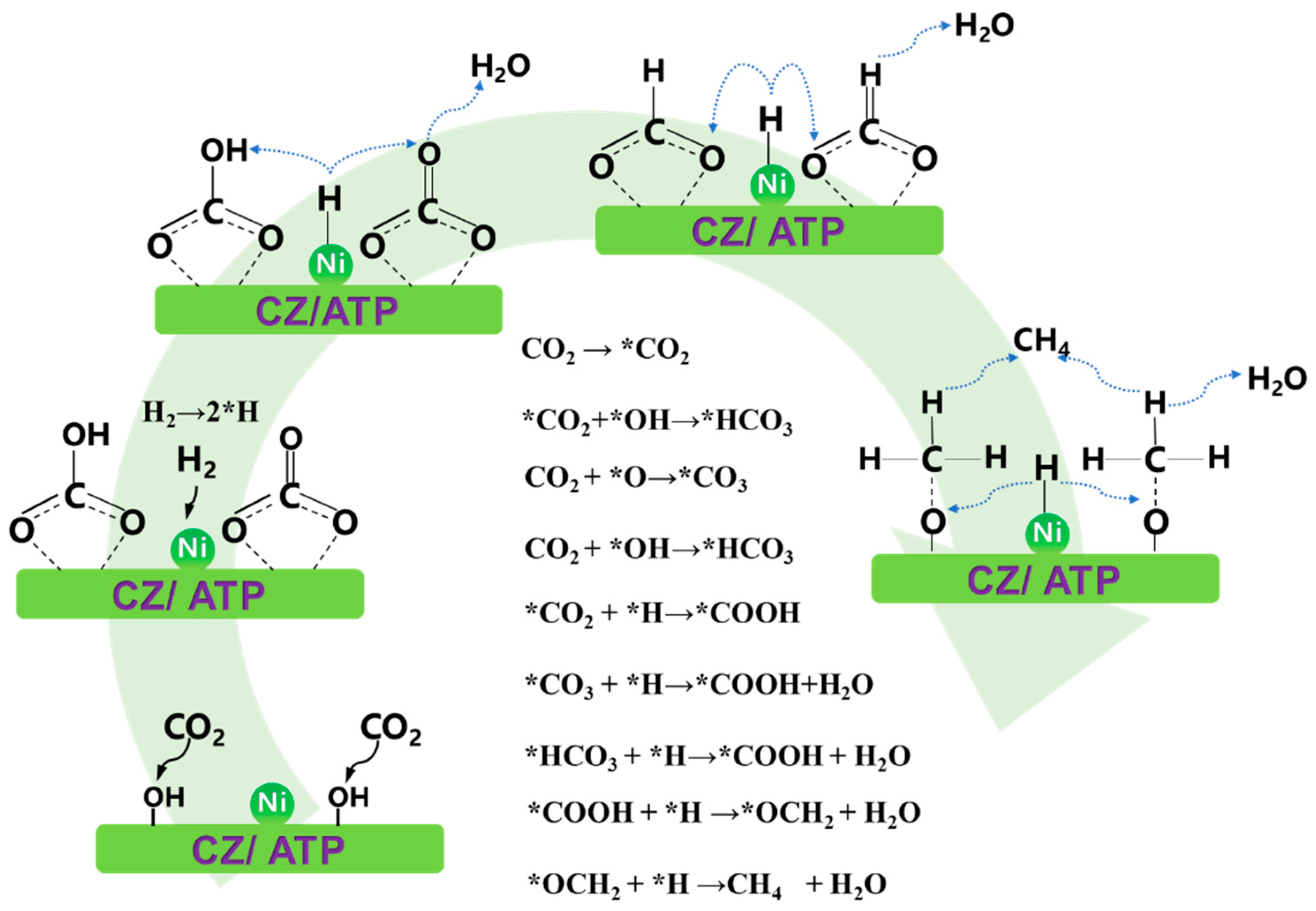Molecules 29 04550 g009