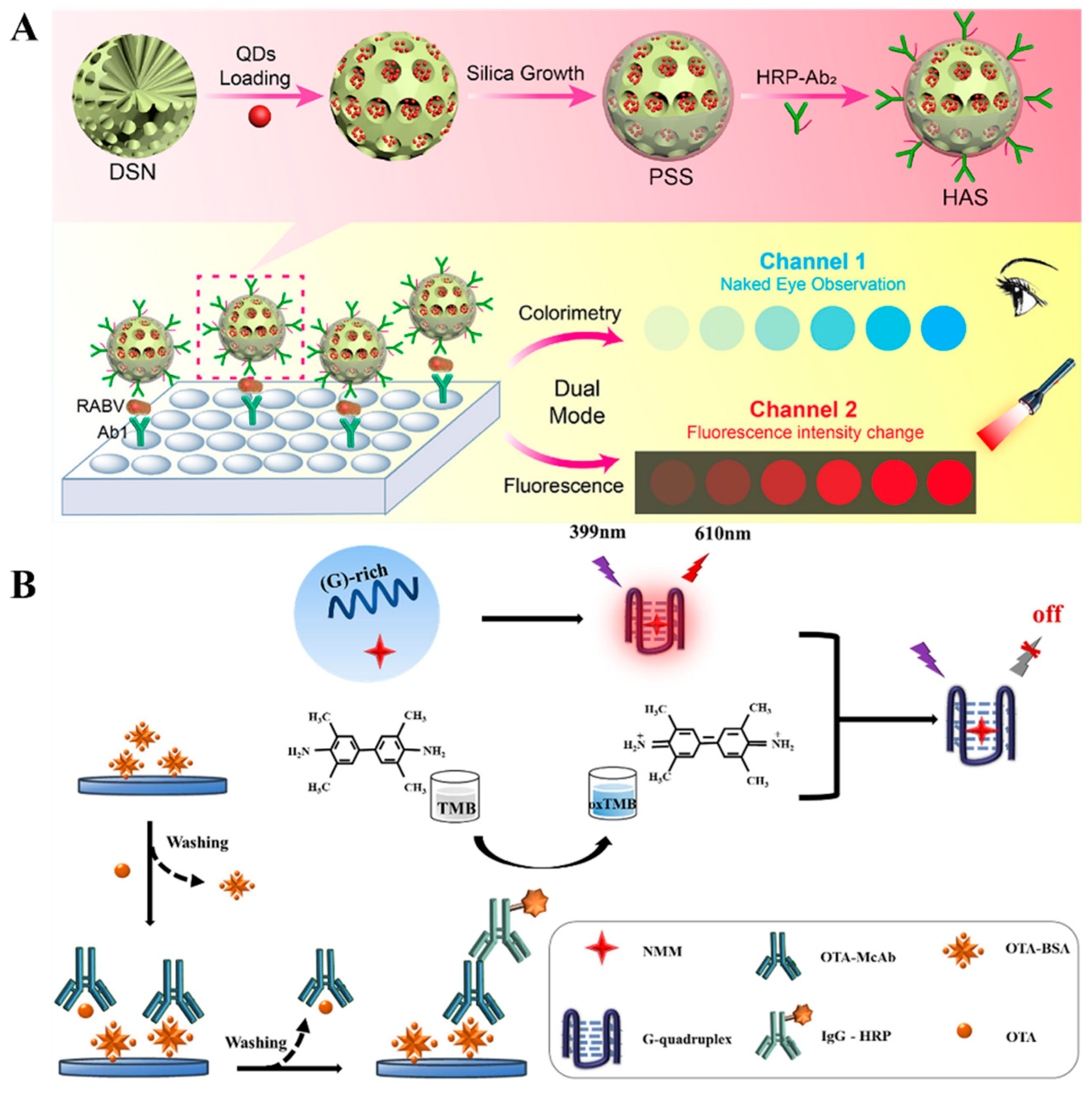 Molecules 29 04551 g001