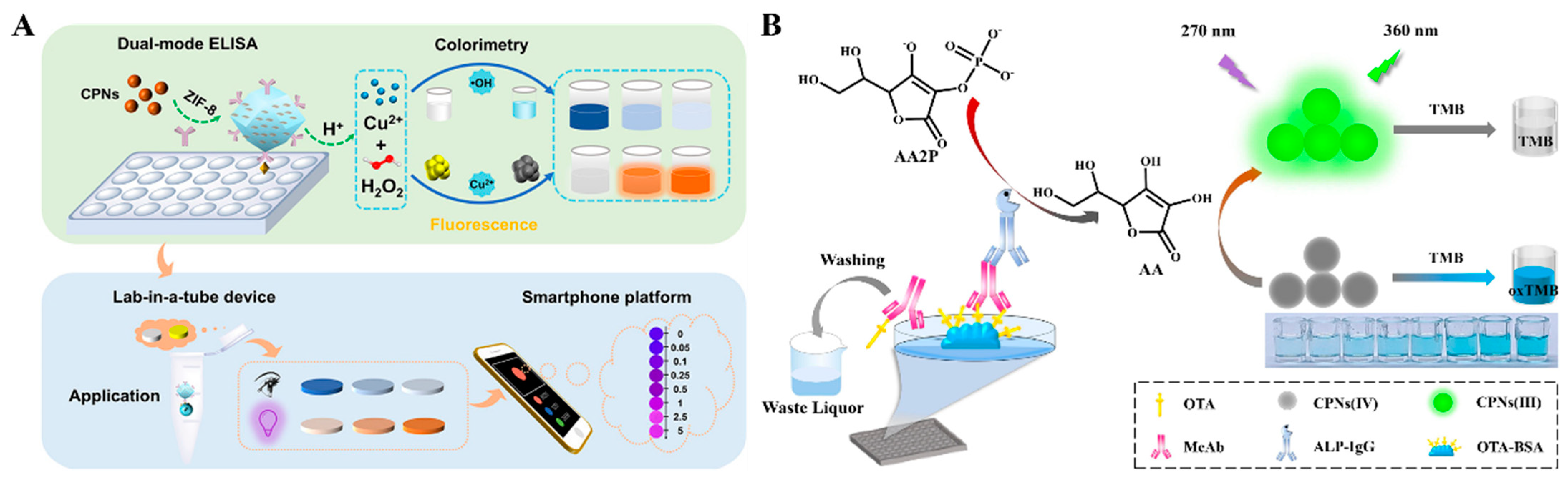 Molecules 29 04551 g003