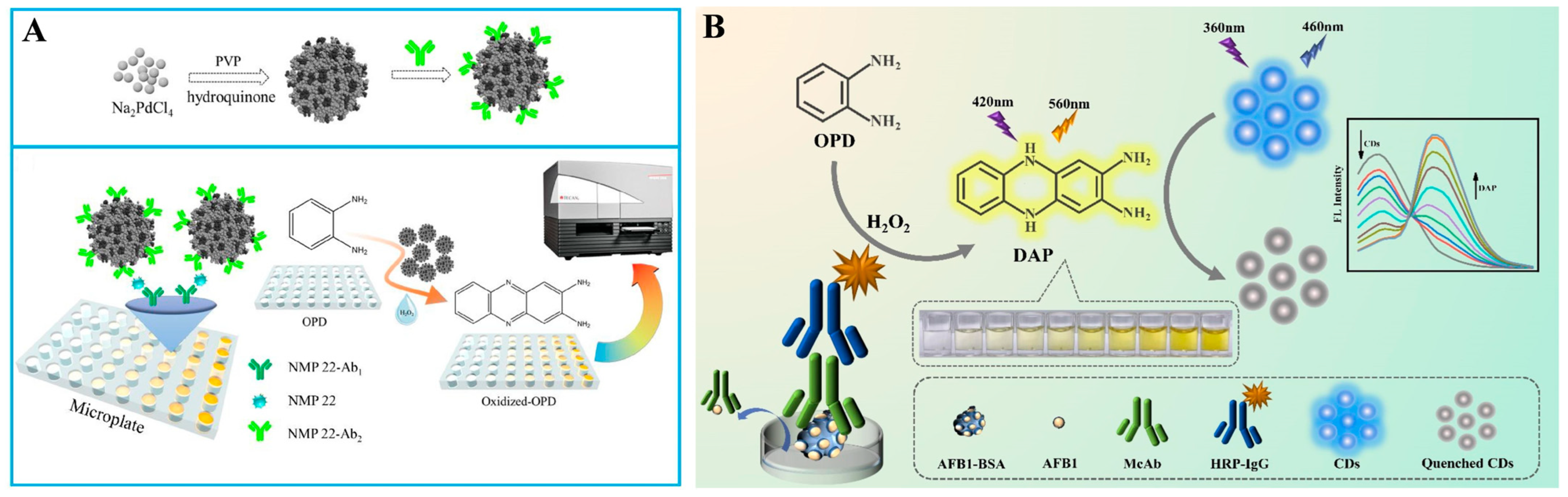 Molecules 29 04551 g004