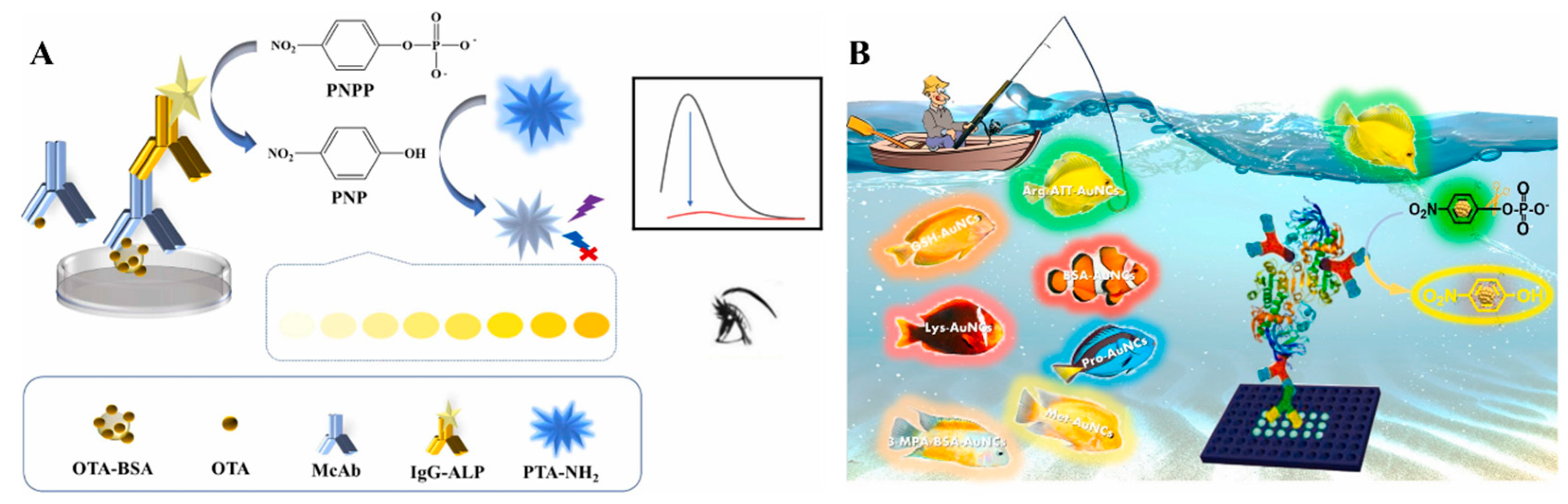 Molecules 29 04551 g005