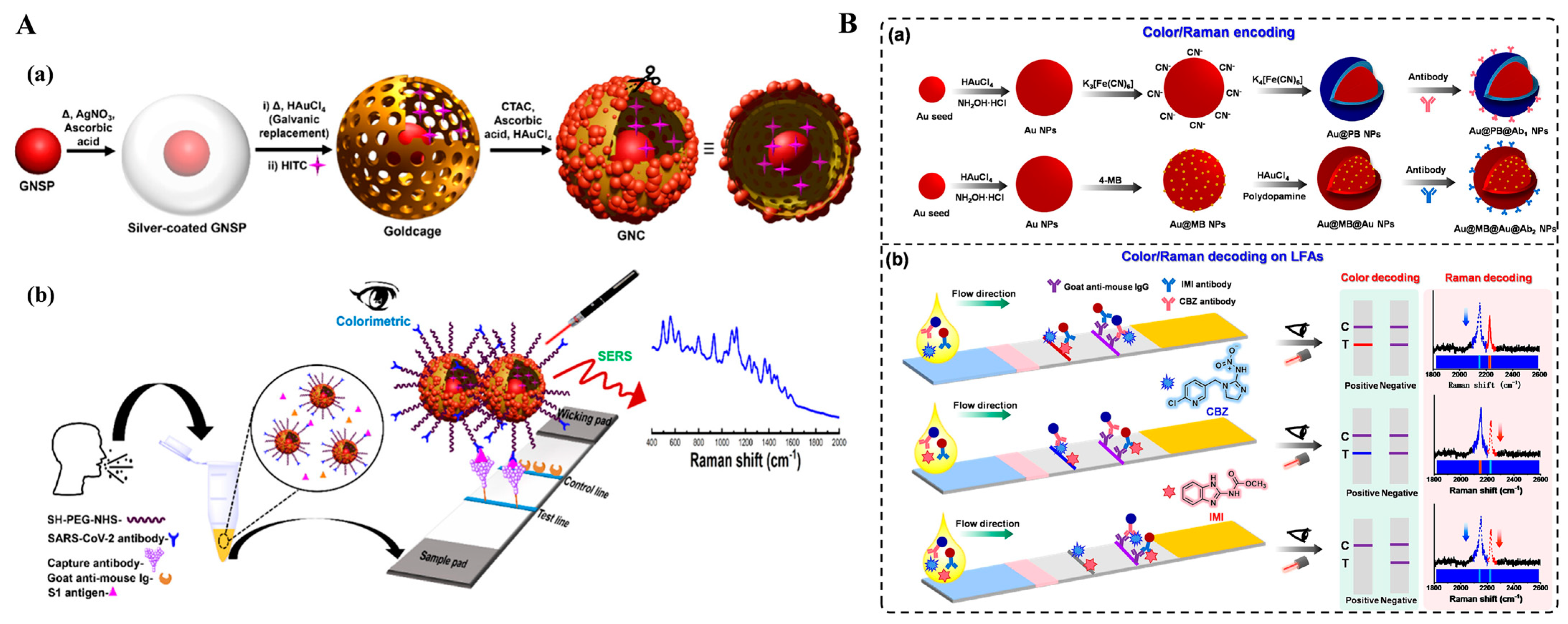 Molecules 29 04551 g011