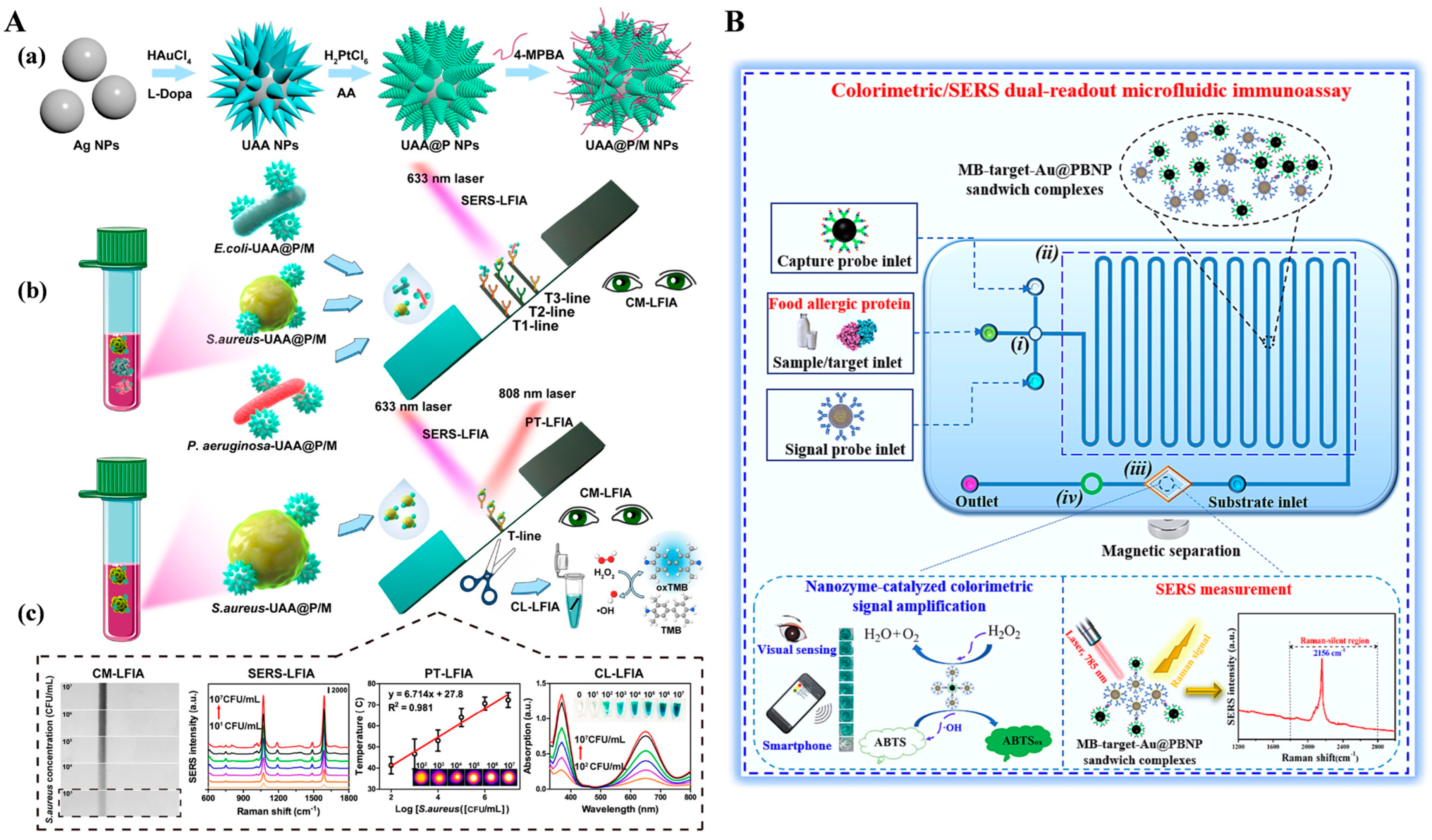 Molecules 29 04551 g012