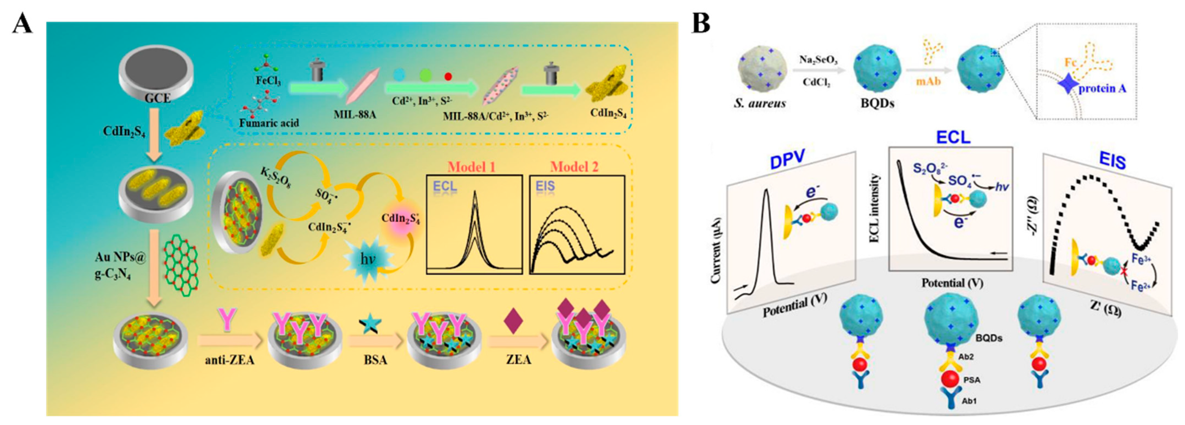Molecules 29 04551 g015