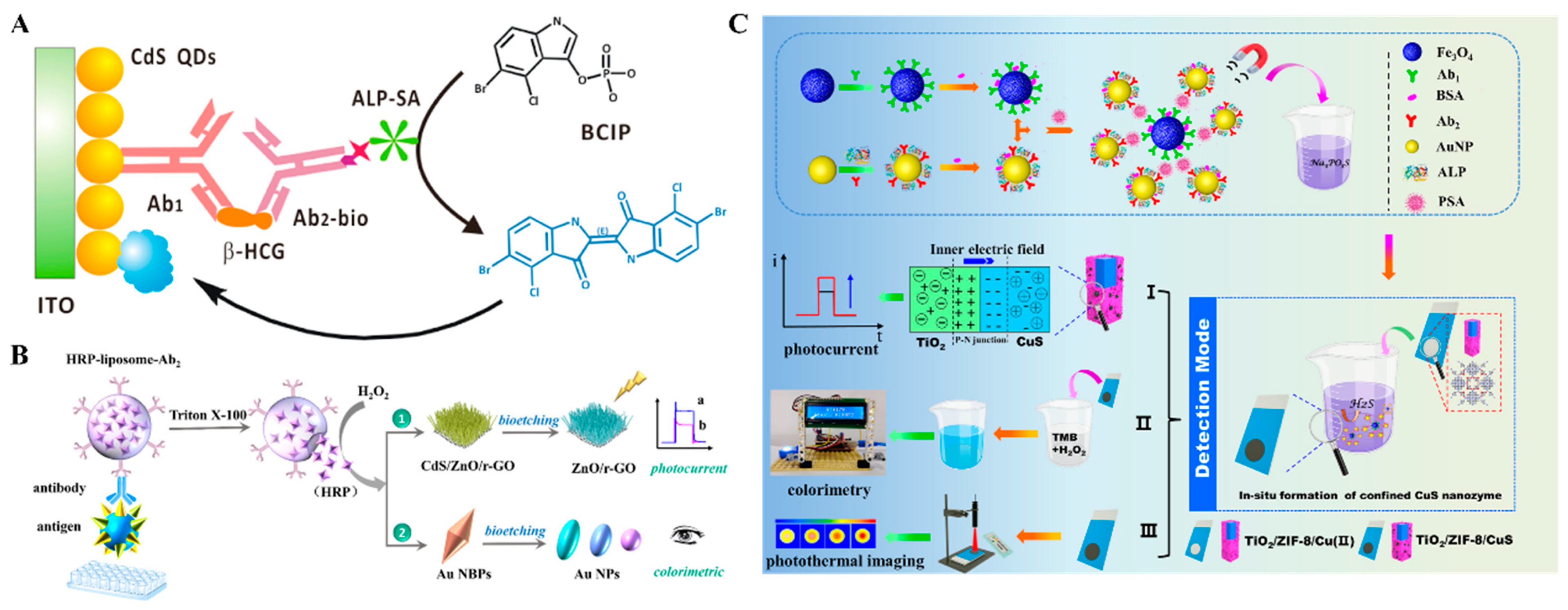 Molecules 29 04551 g020