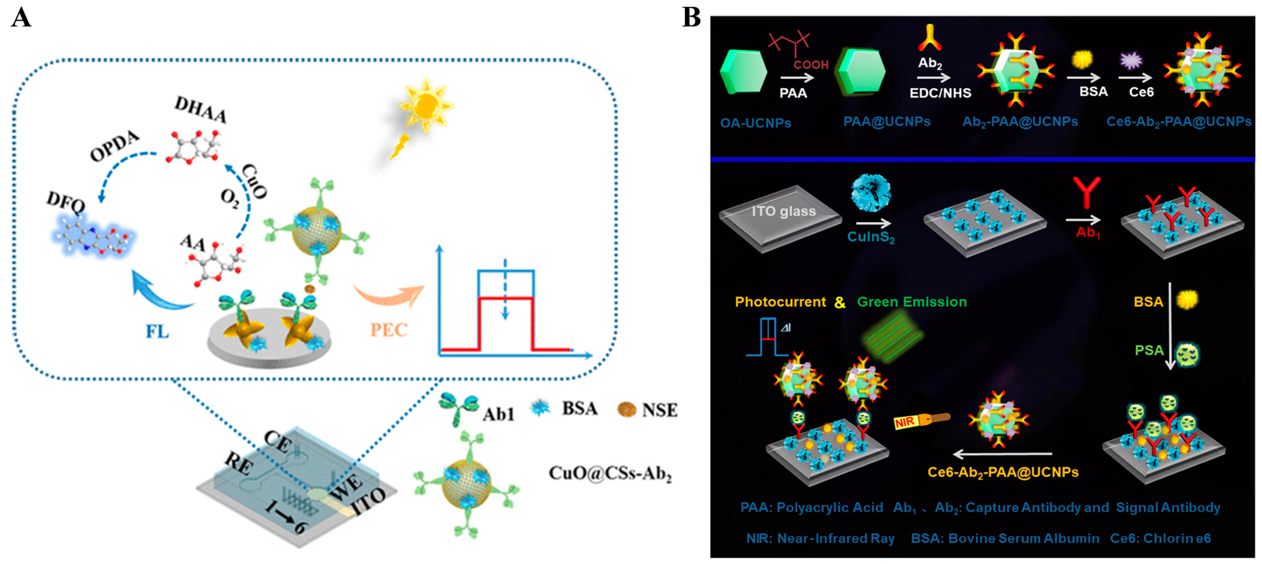 Molecules 29 04551 g022