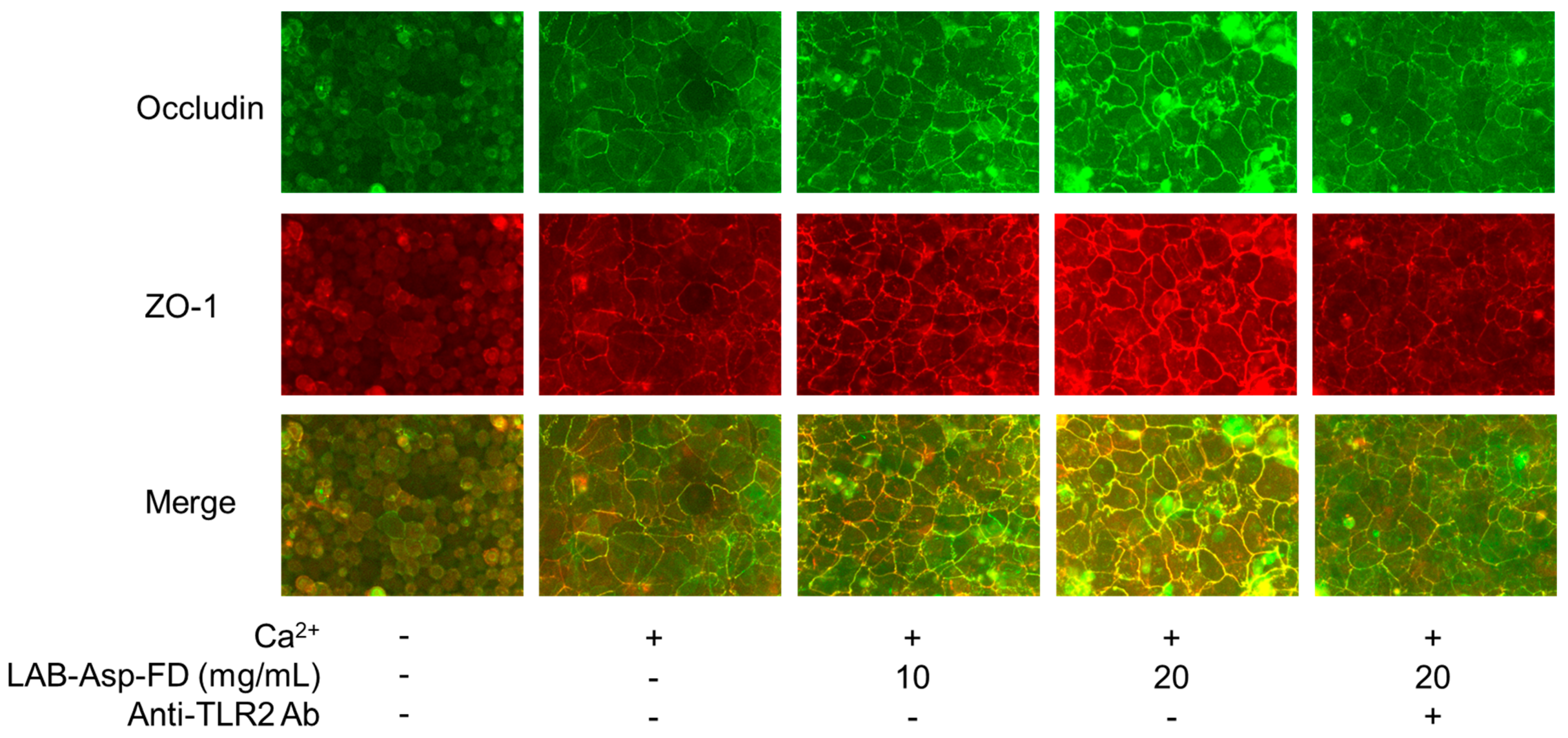 Molecules 29 04557 g005