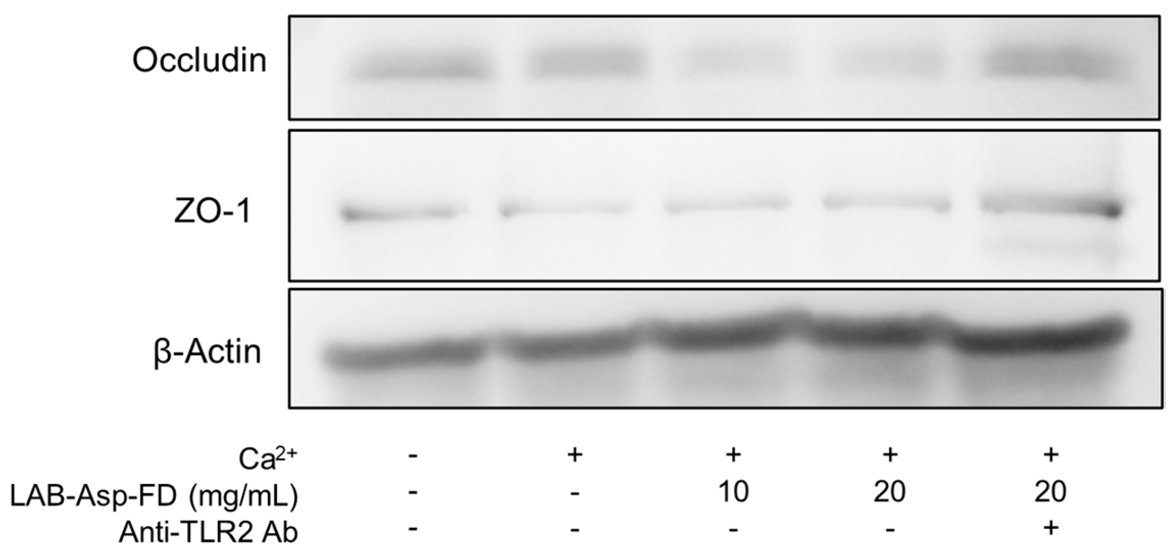 Molecules 29 04557 g007