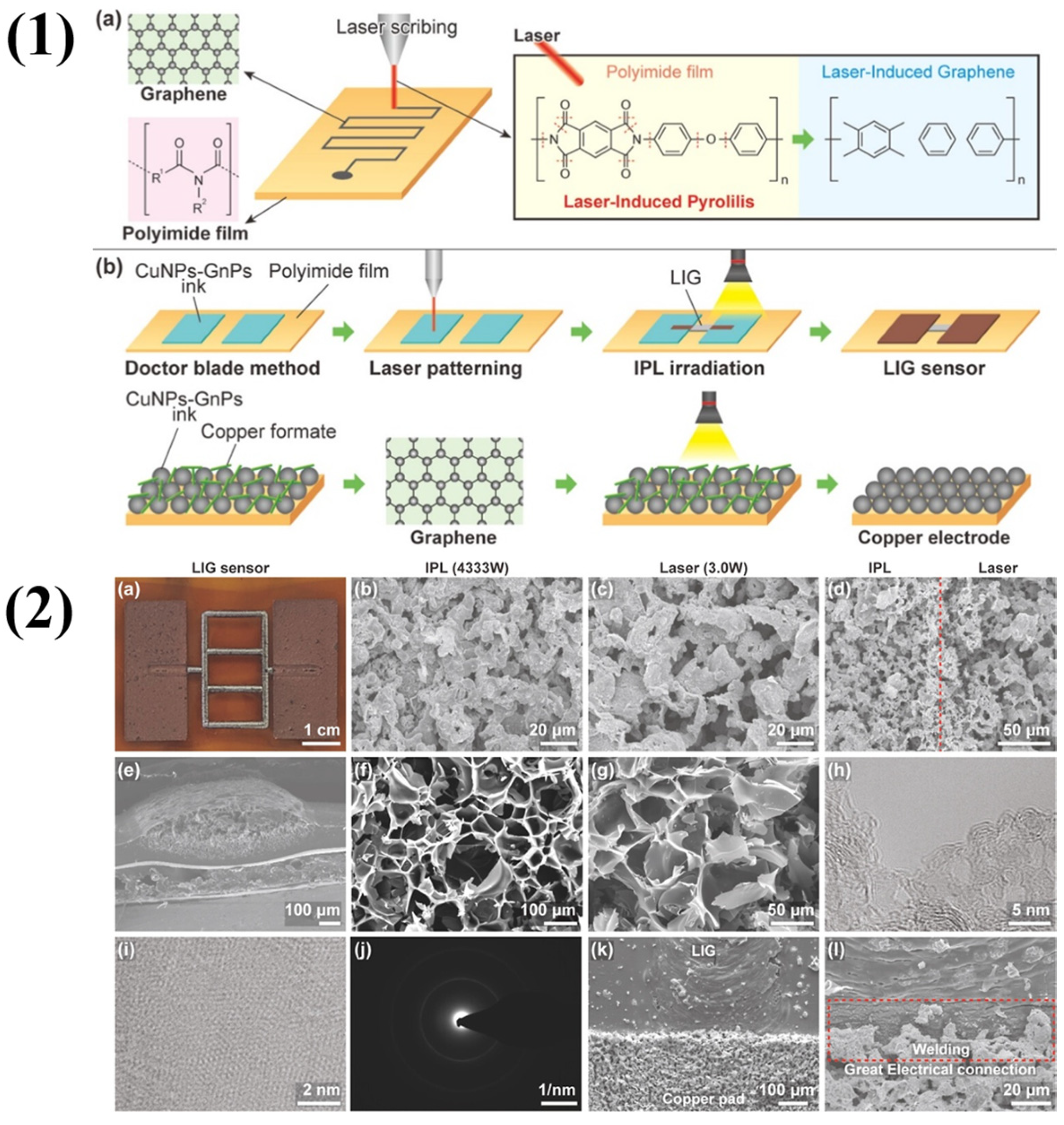 Molecules 29 04558 g001