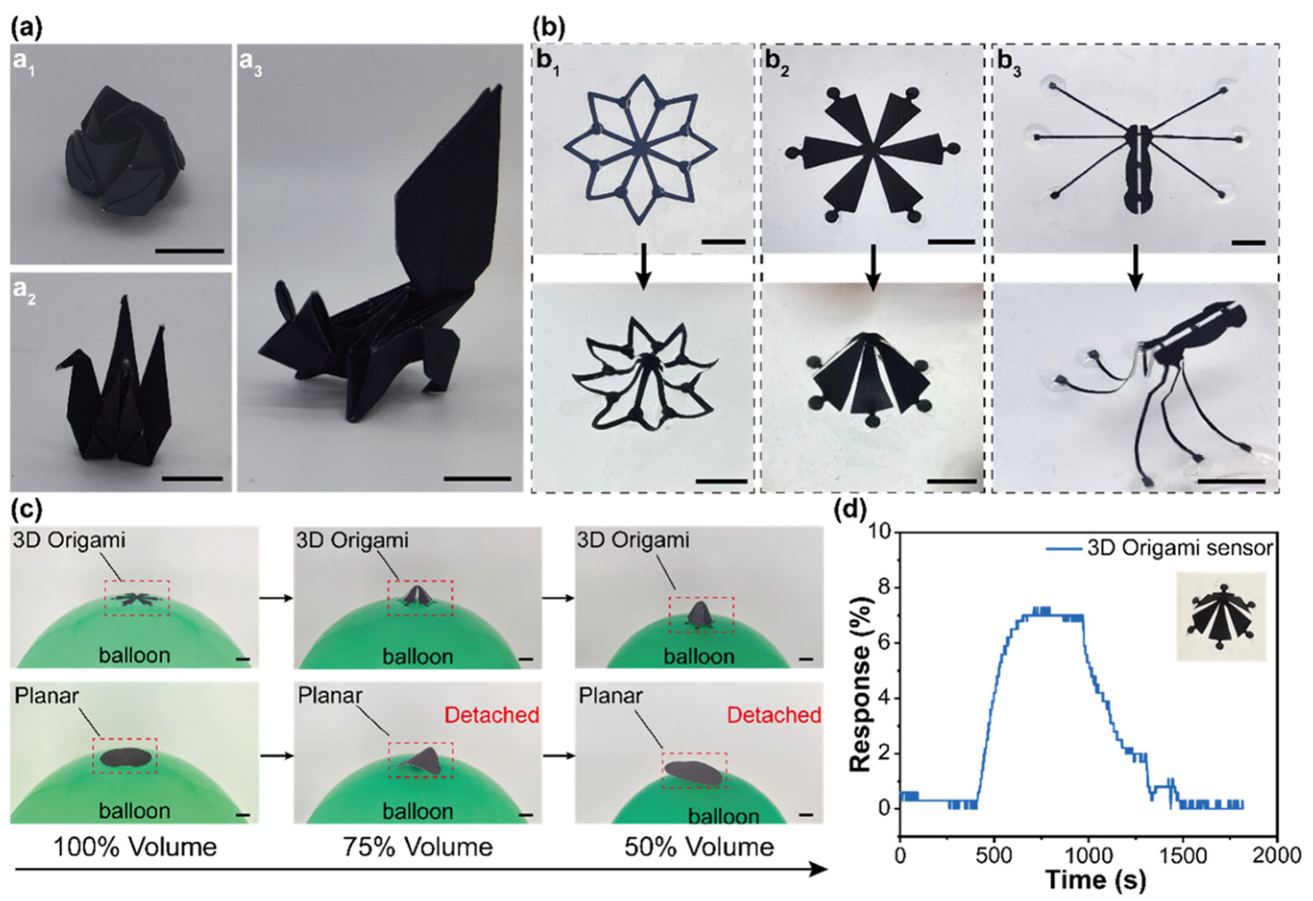 Molecules 29 04558 g007