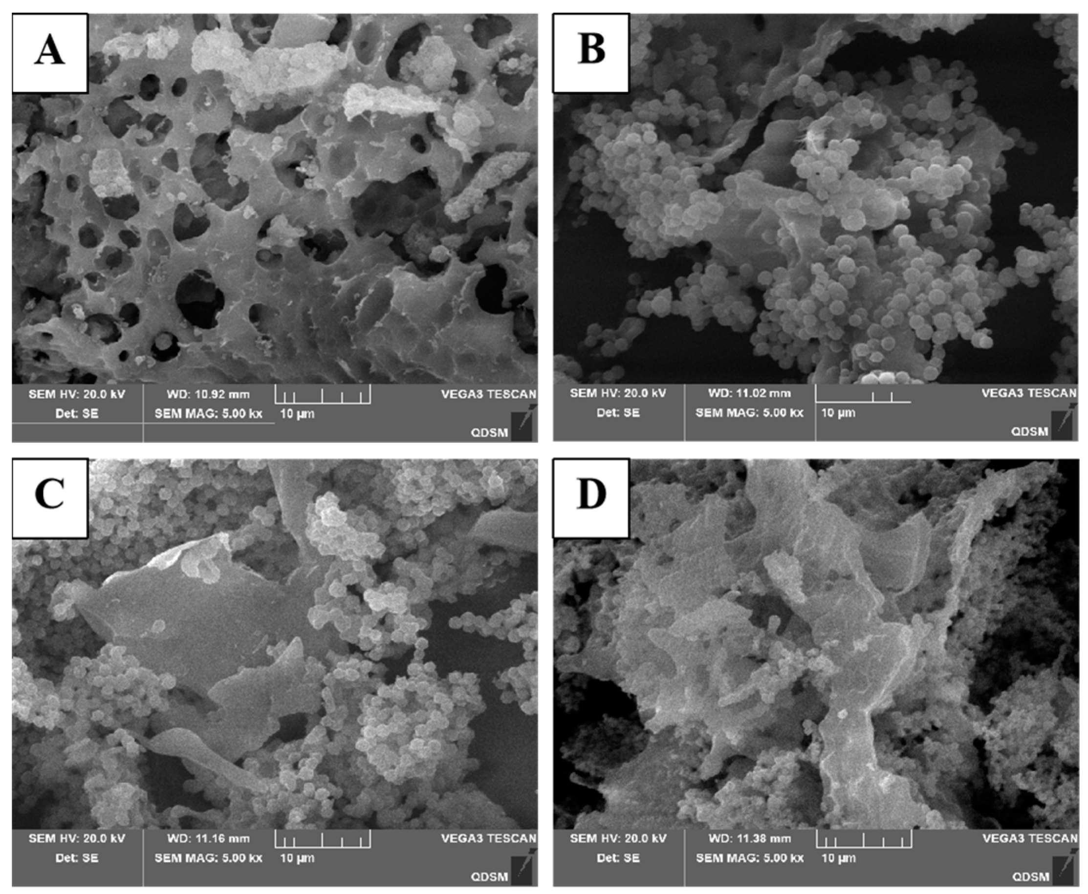 Molecules 29 04560 g007