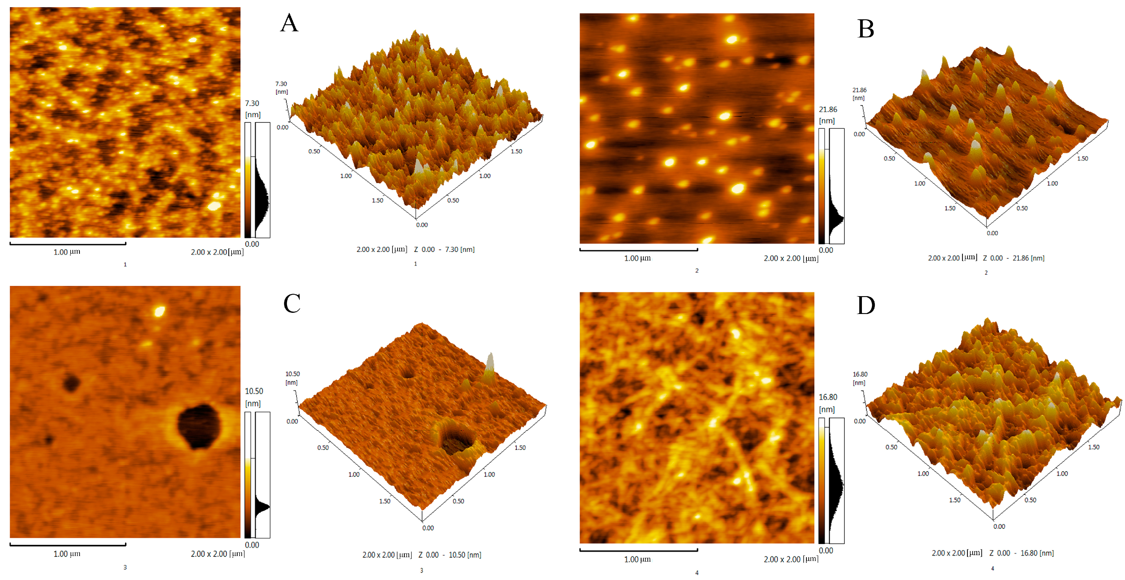 Molecules 29 04560 g008