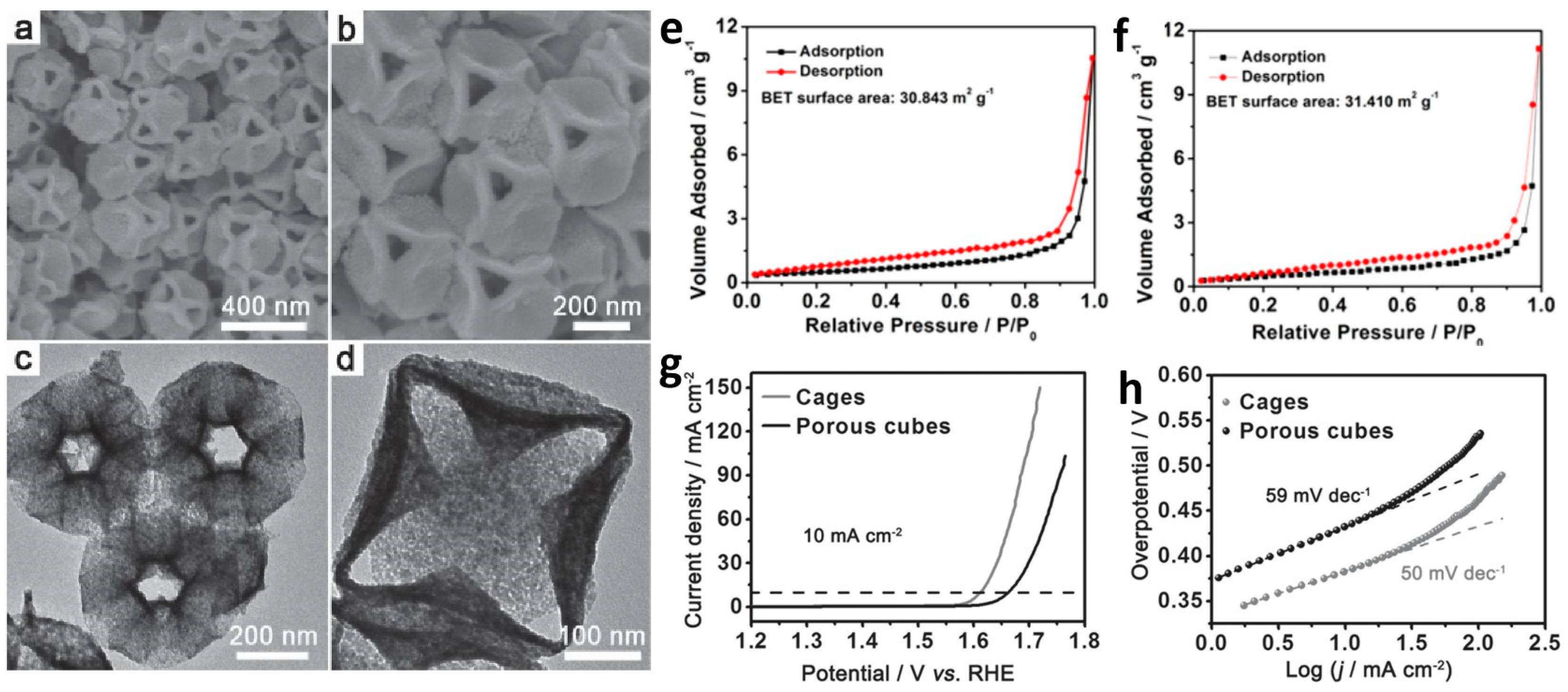 Molecules 29 04562 g002