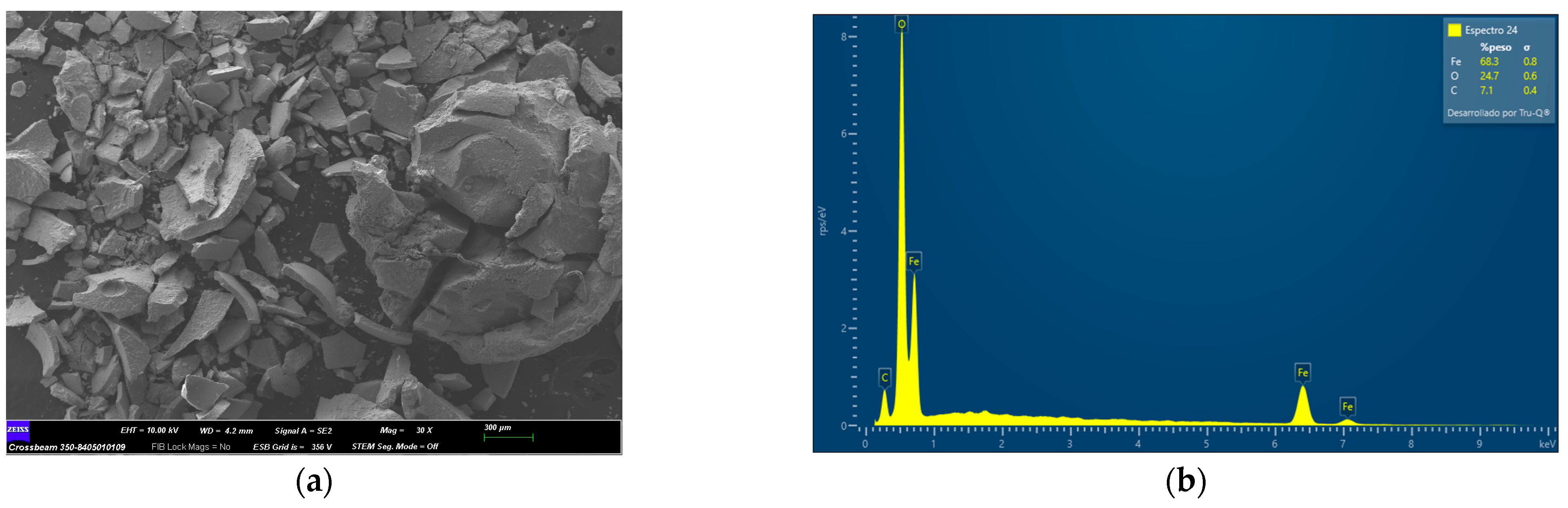 Molecules 29 04565 g001
