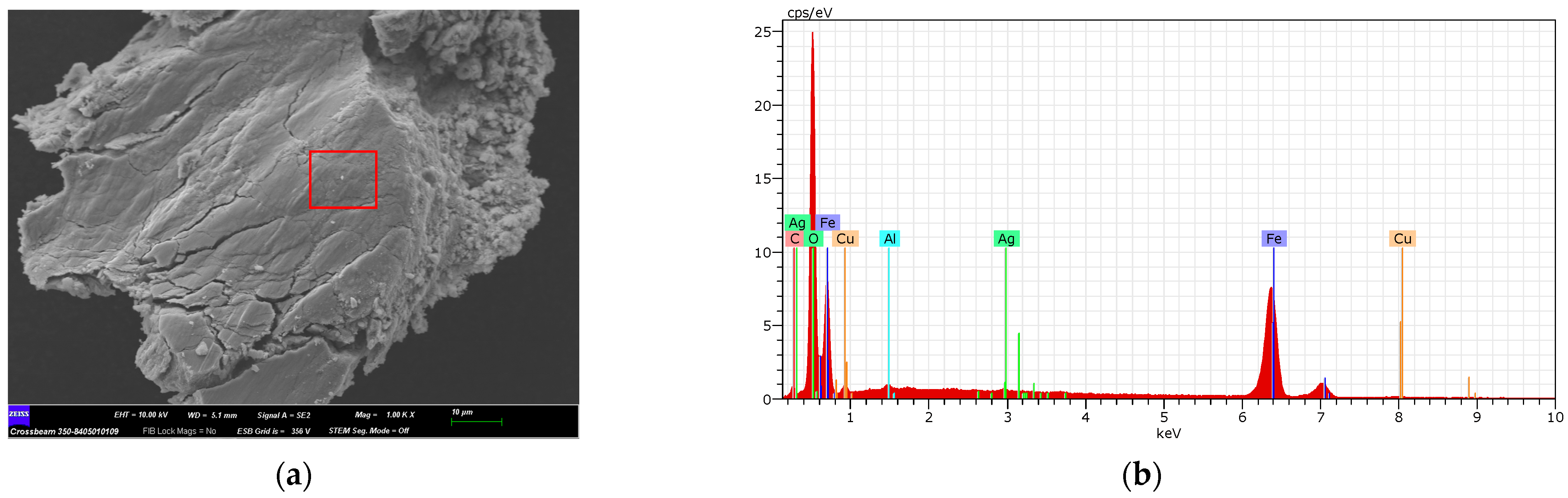 Molecules 29 04565 g002