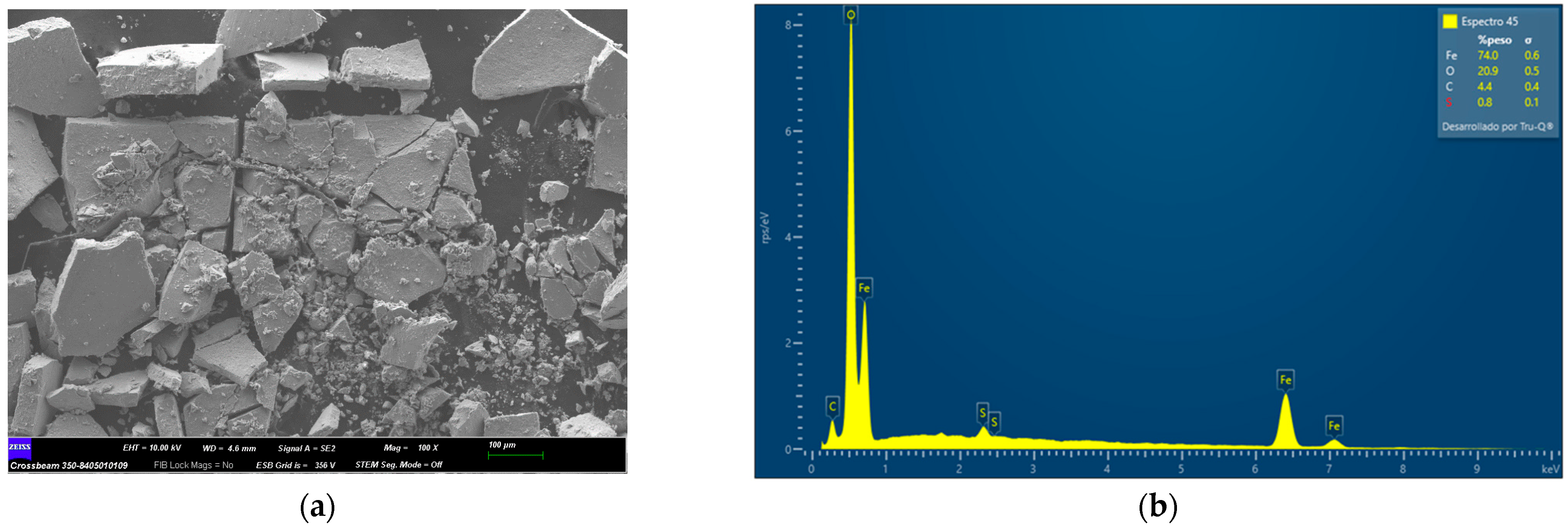 Molecules 29 04565 g003