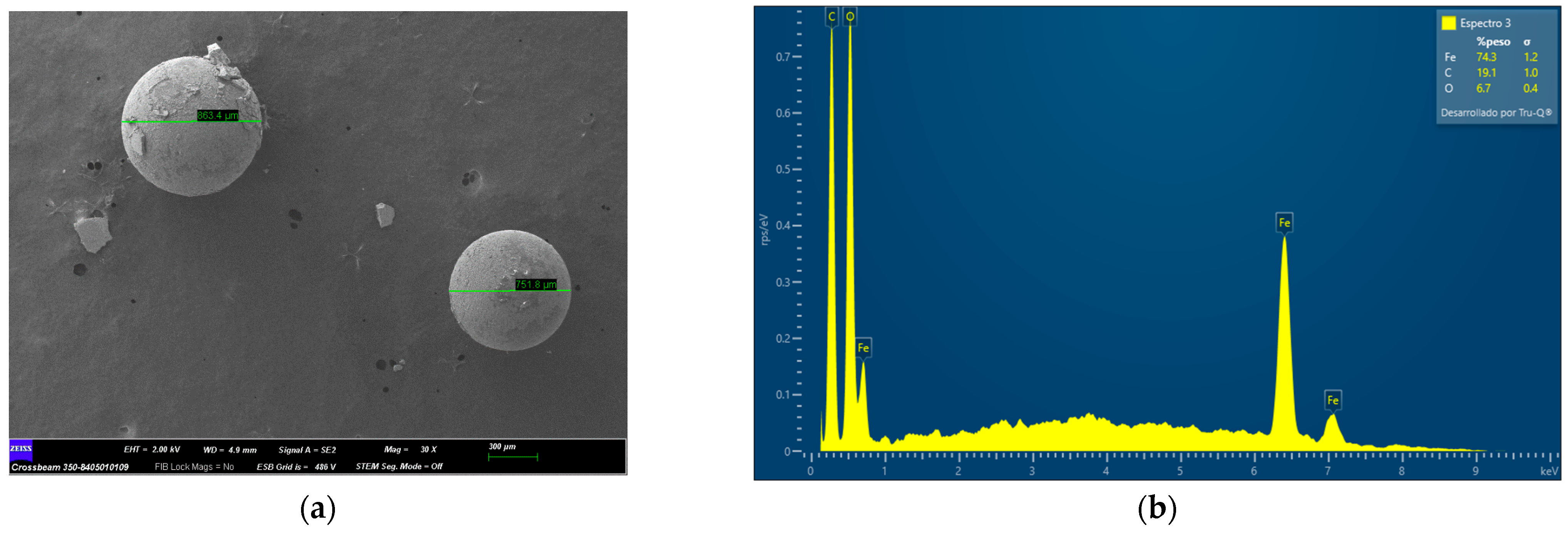 Molecules 29 04565 g004