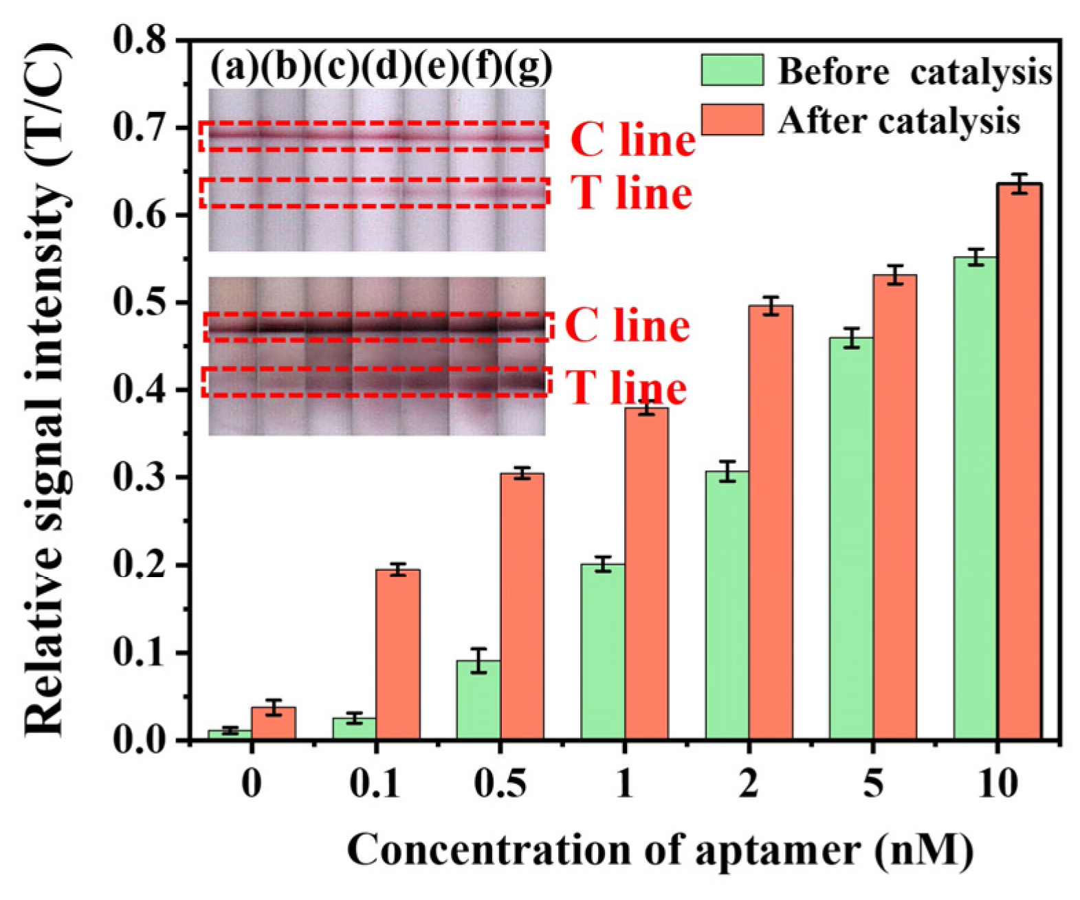 Molecules 29 04569 g002