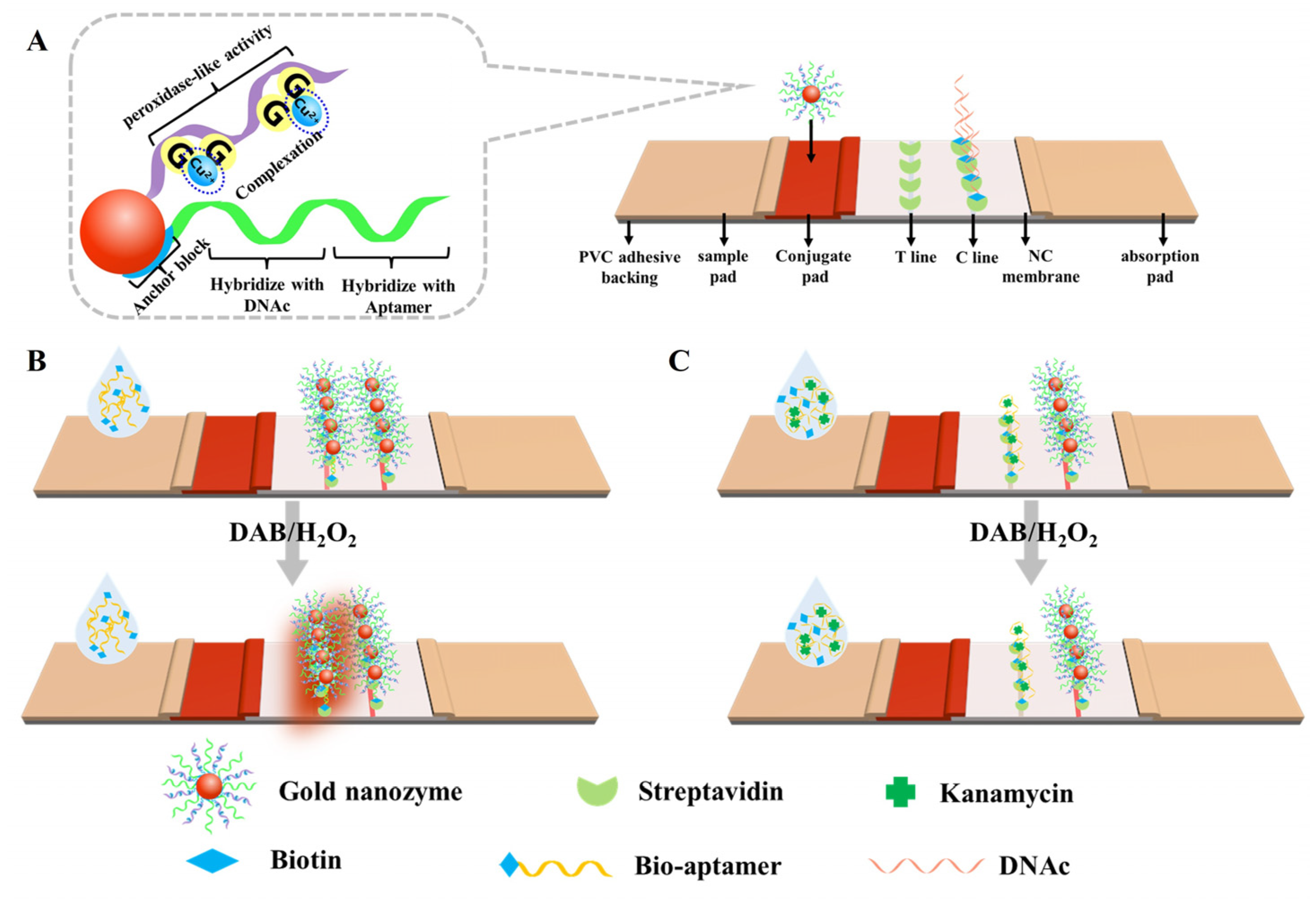 Molecules 29 04569 sch001