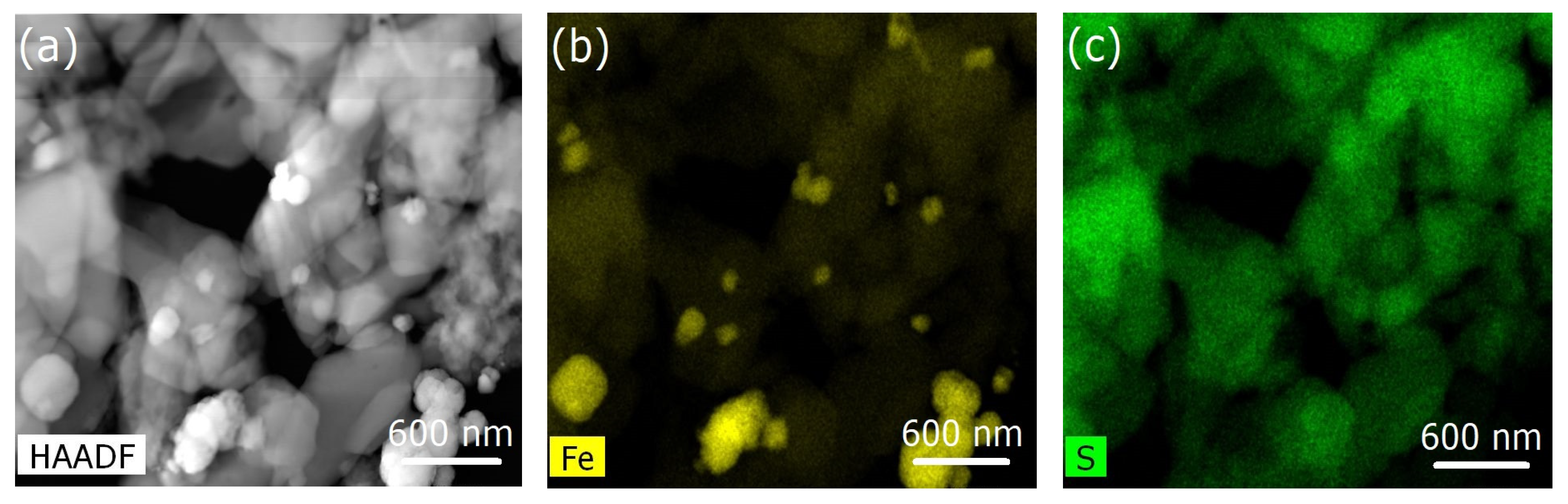 Molecules 29 04574 g006