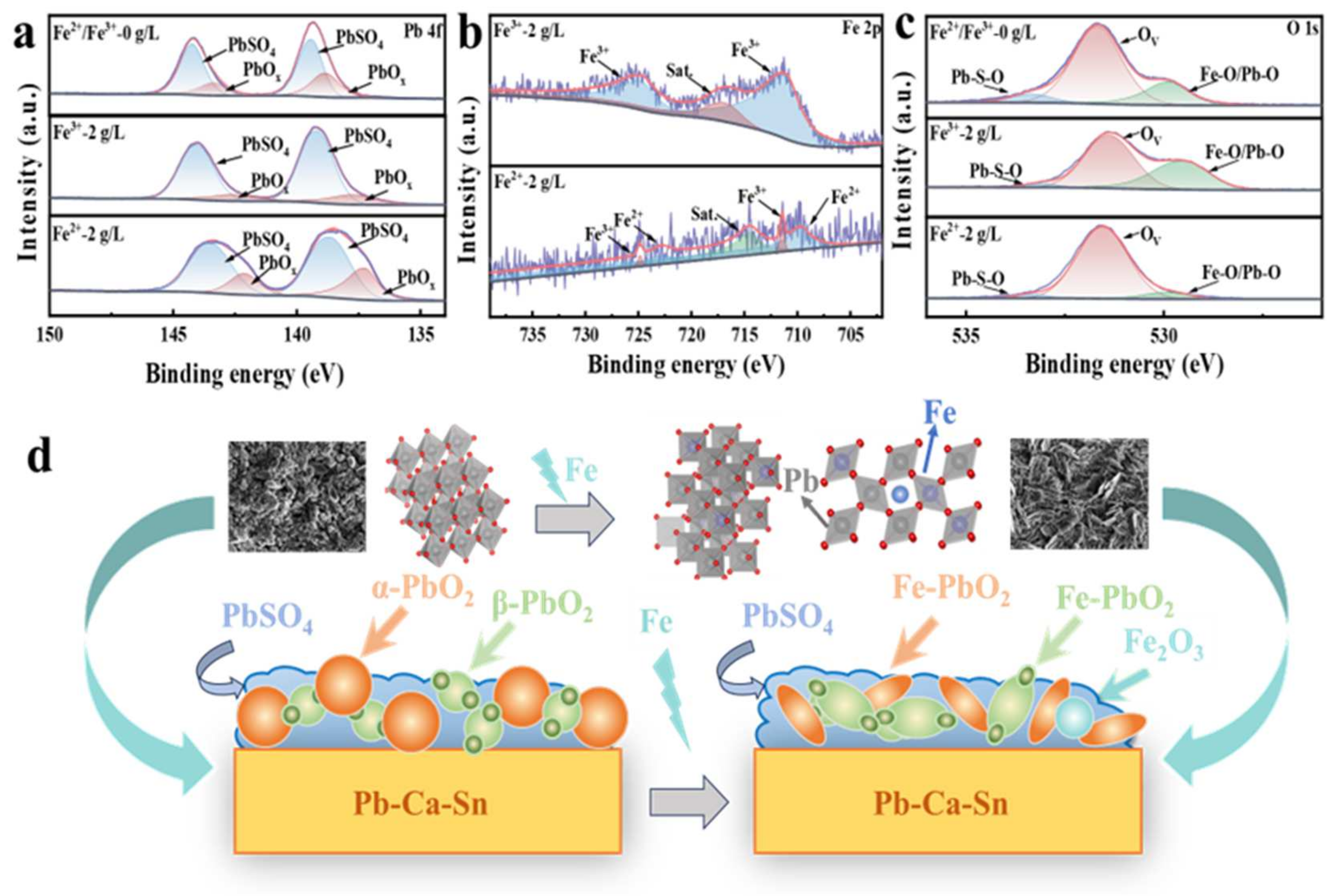 Molecules 29 04578 g005
