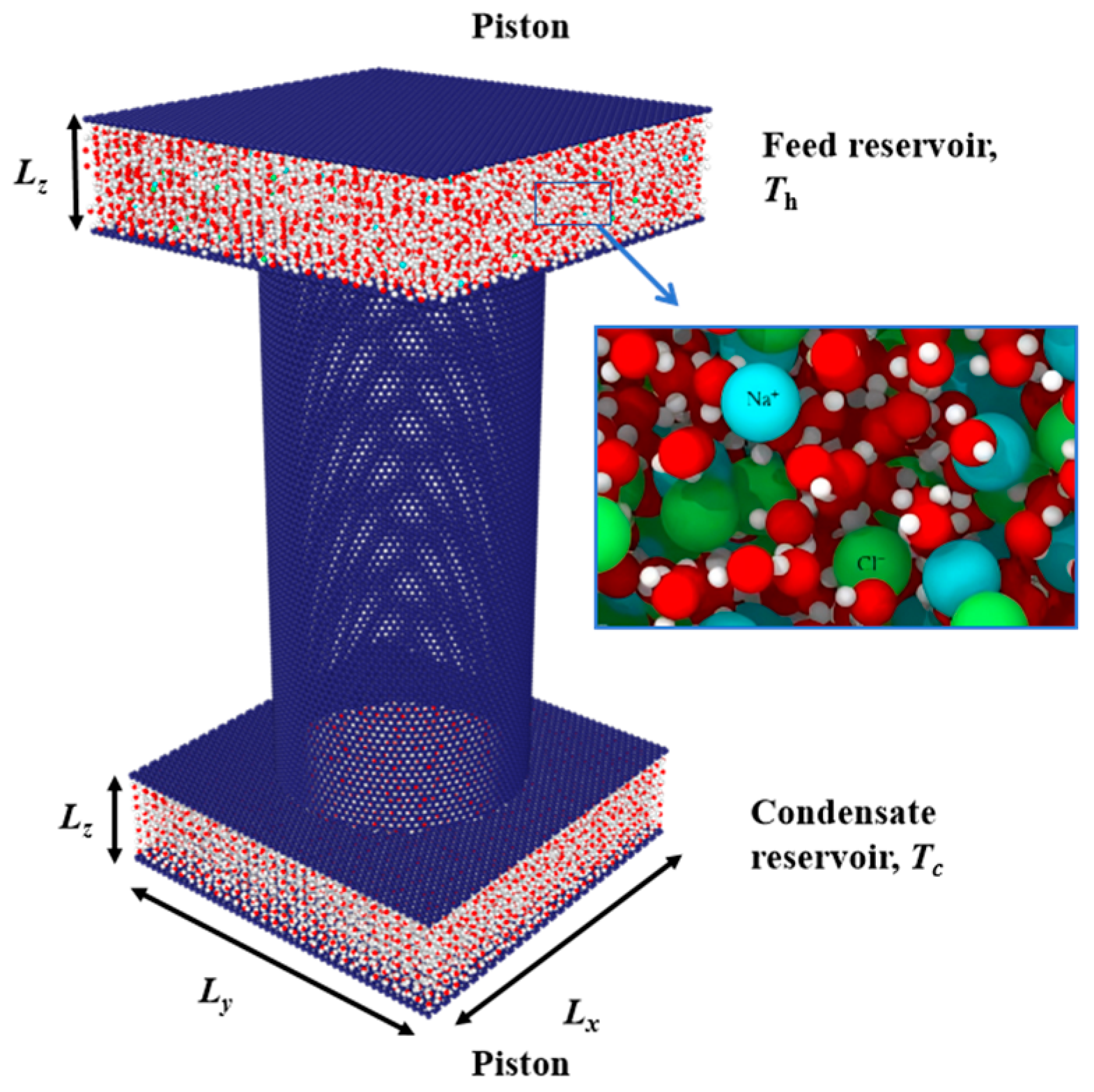 Molecules 29 04581 g013