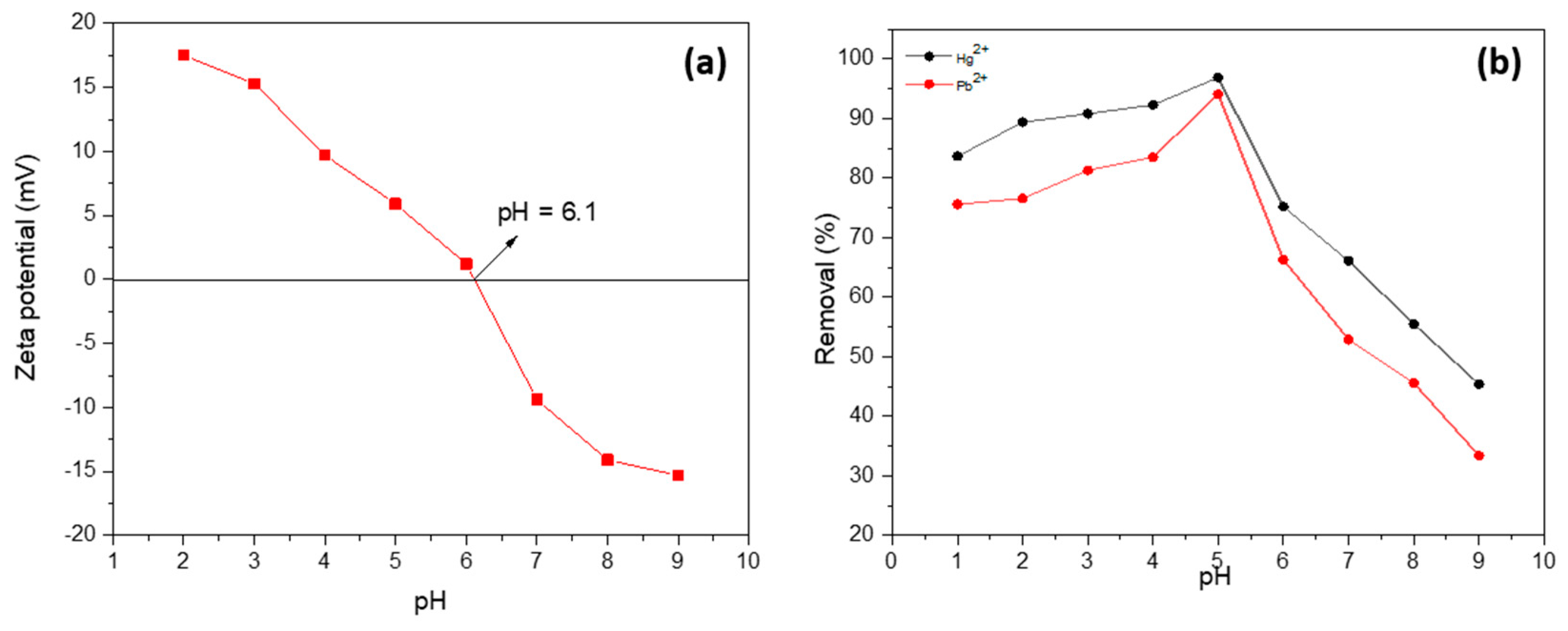 Molecules 29 04583 g008