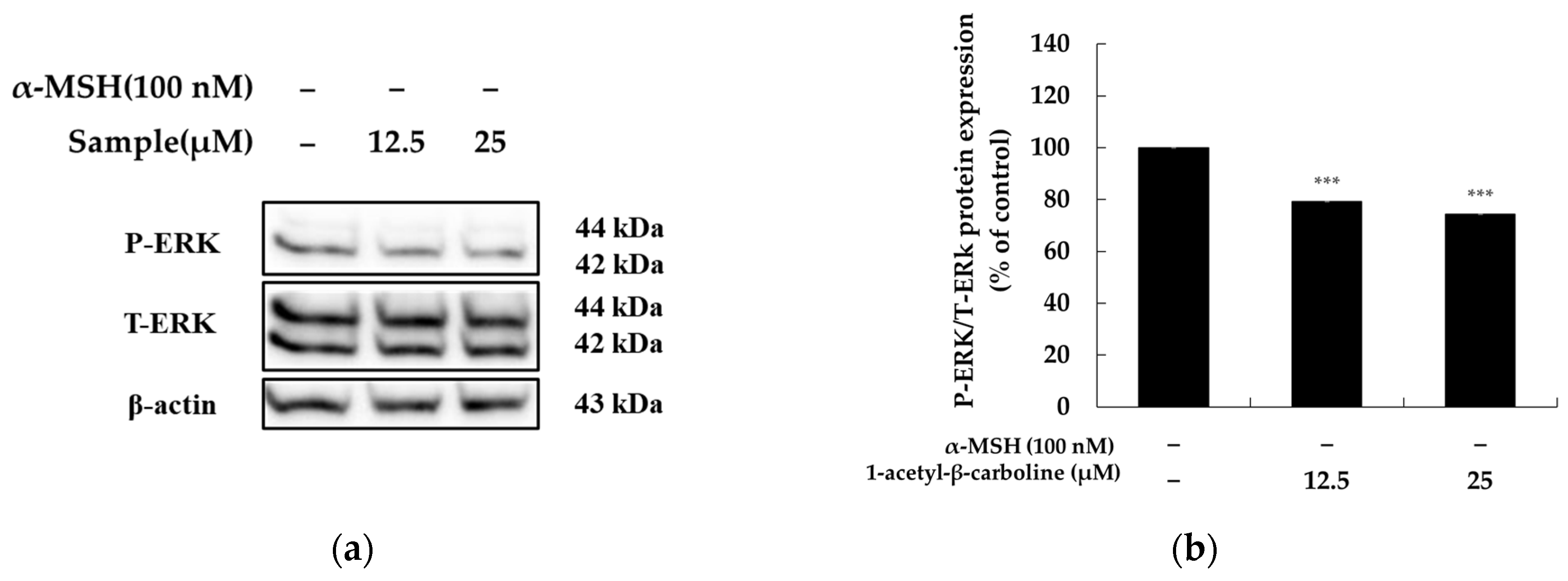 Molecules 29 04586 g006 Molecules 29 04586 g006