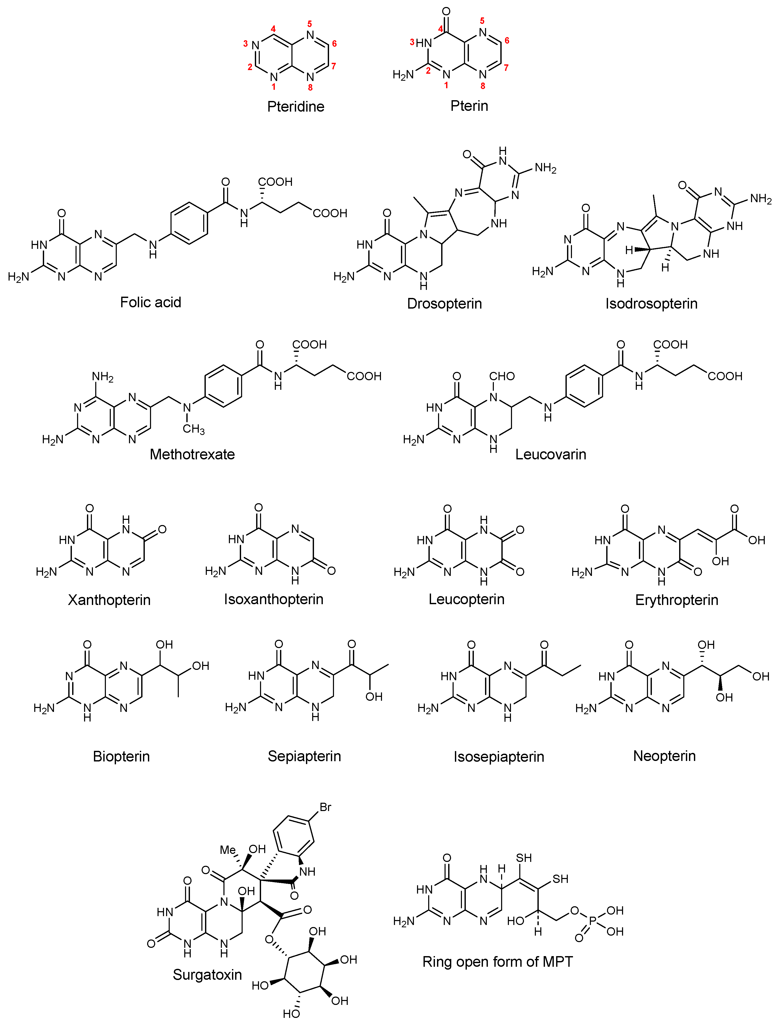 Molecules 29 04587 g001