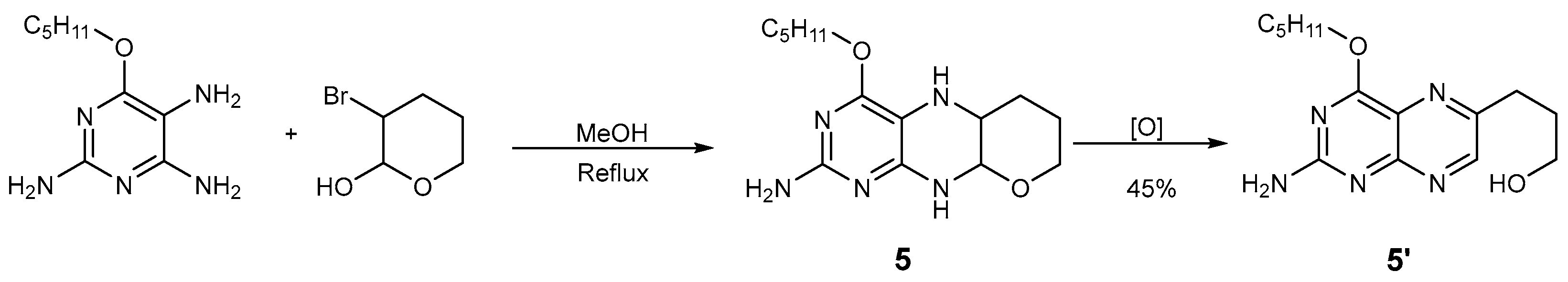 Molecules 29 04587 g007