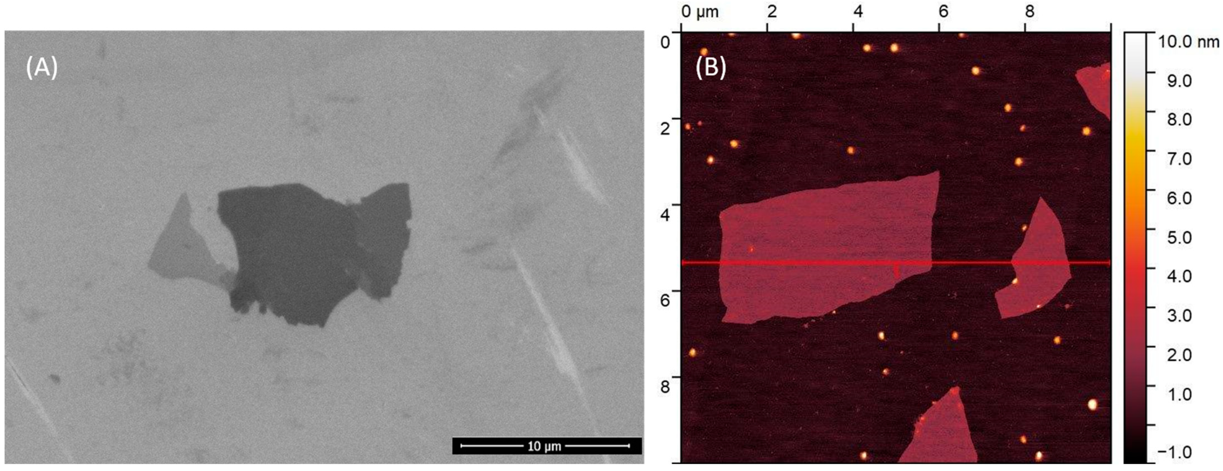 Molecules 29 04594 g007 Molecules 29 04594 g007
