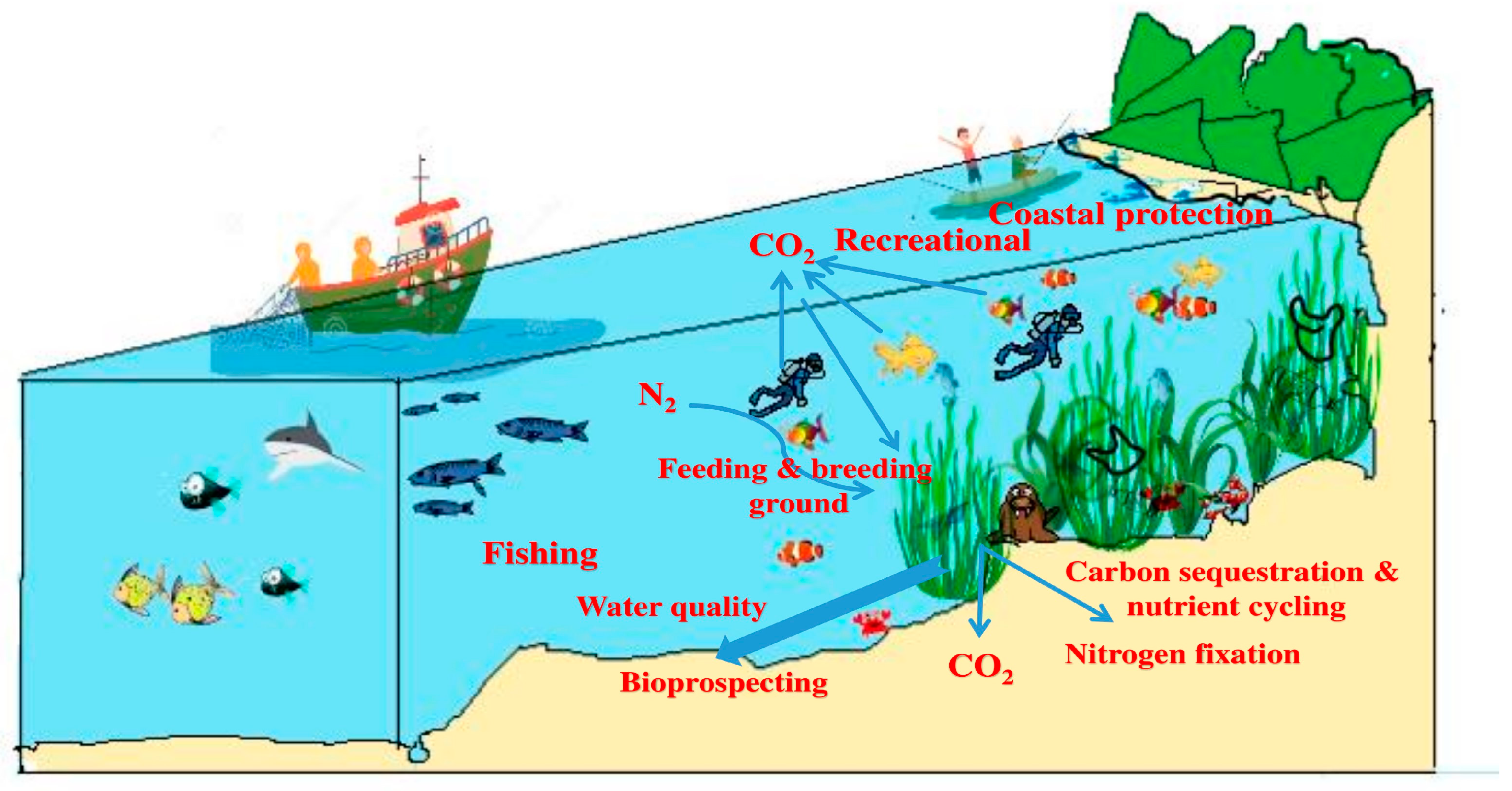 Molecules 29 04596 g001 Molecules 29 04596 g001
