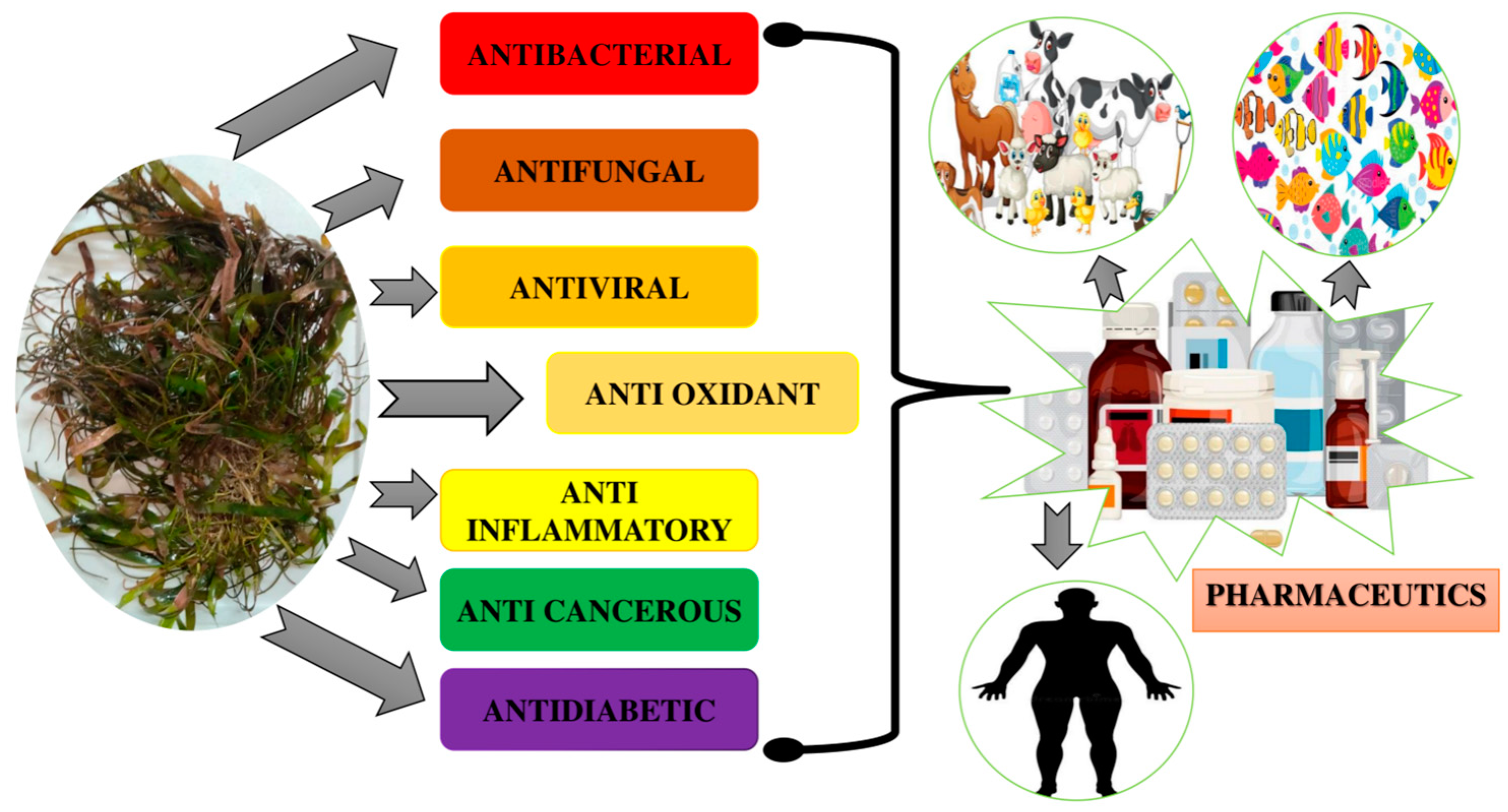 Molecules 29 04596 g009 Molecules 29 04596 g009