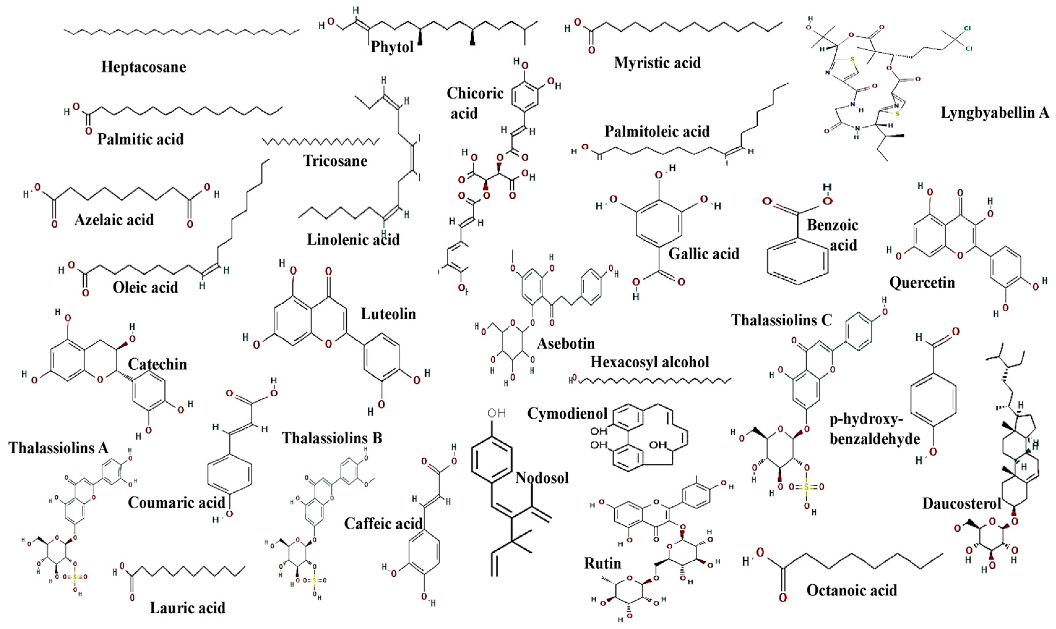 Molecules 29 04596 g010 Molecules 29 04596 g010