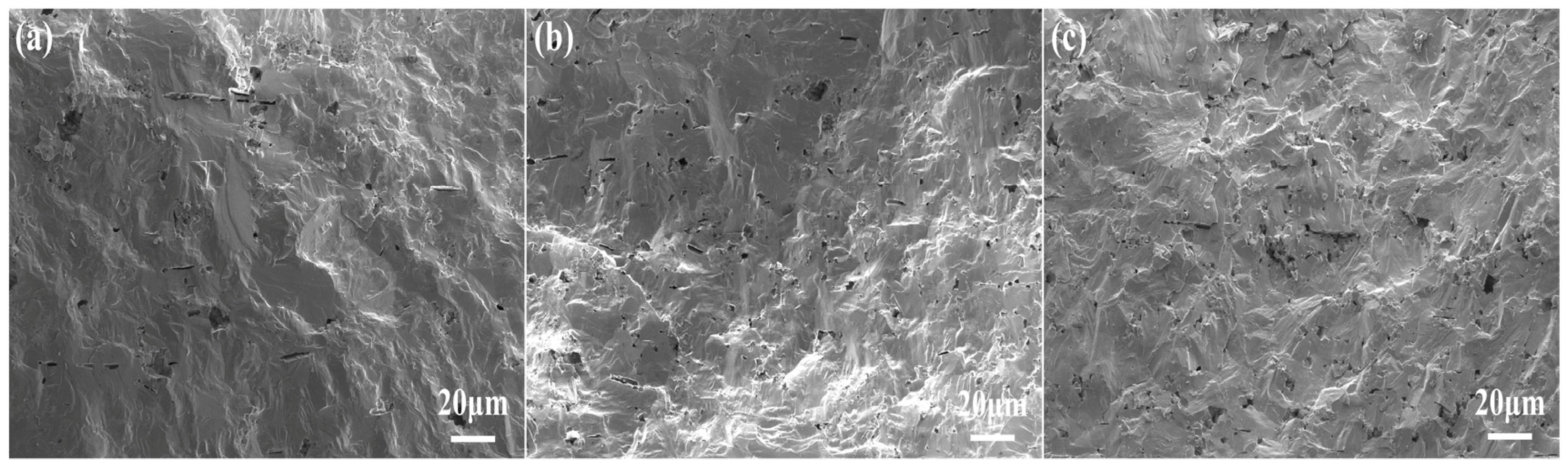Molecules 29 04601 g003