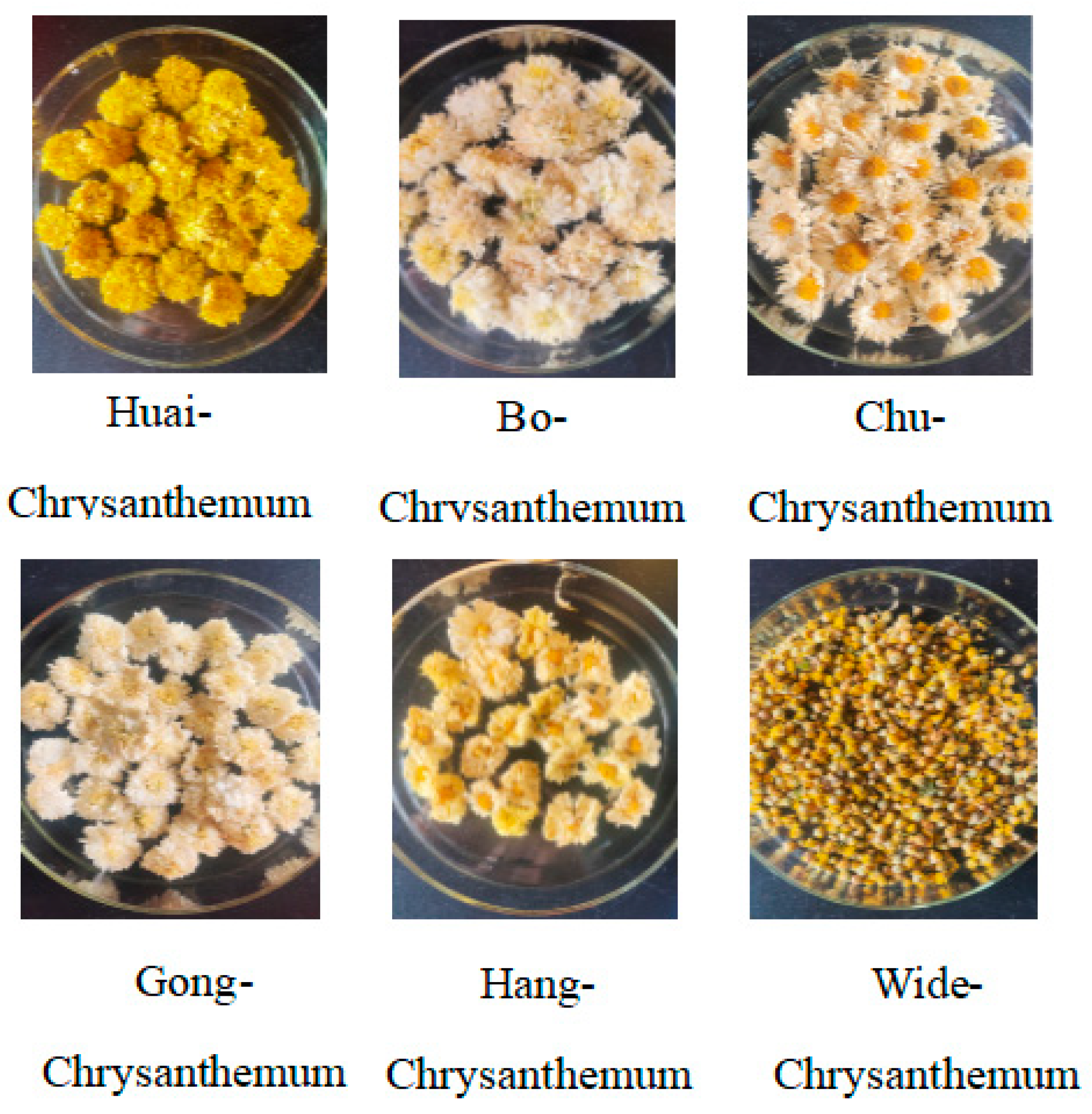 Molecules 29 04609 g009 Molecules 29 04609 g009