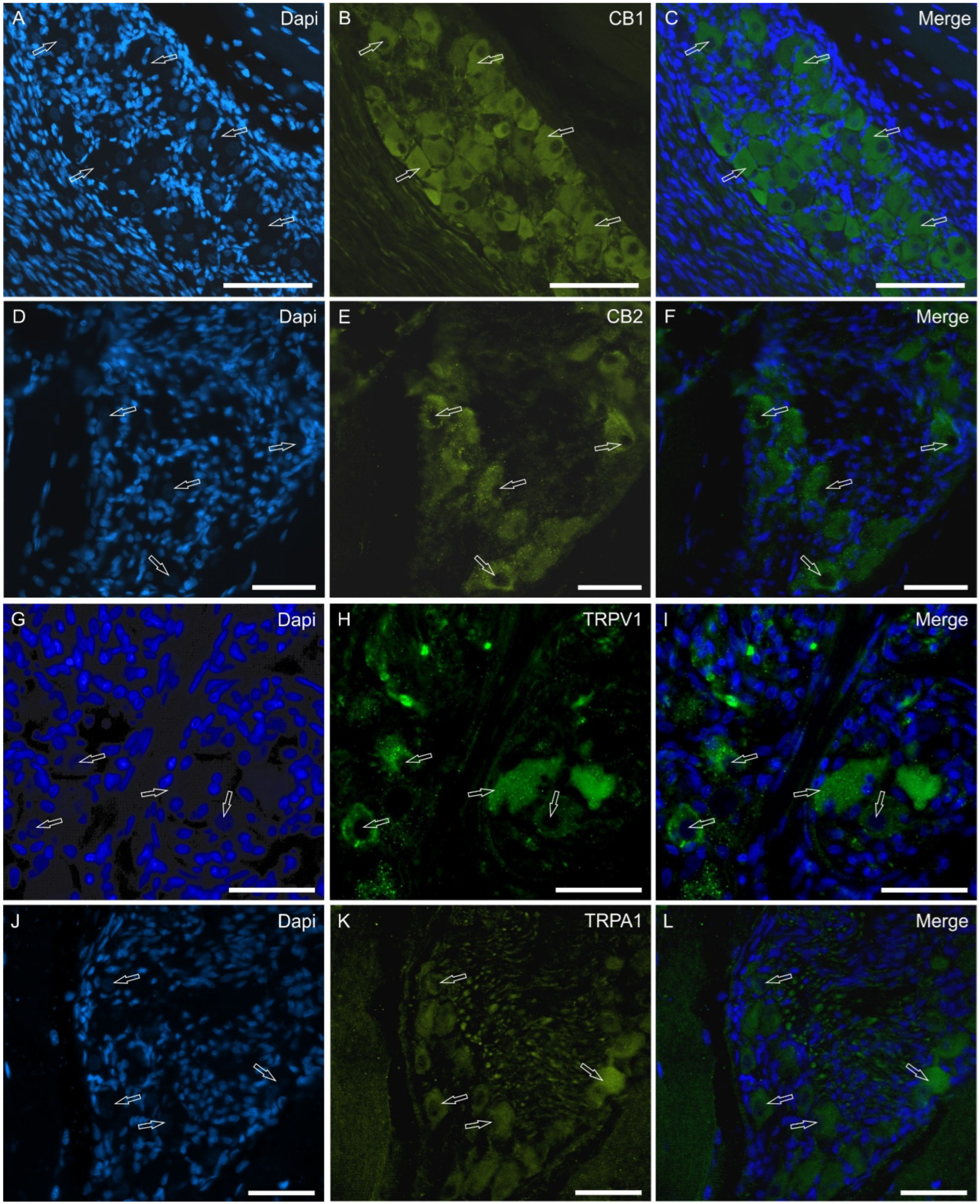 Molecules 29 04613 g007