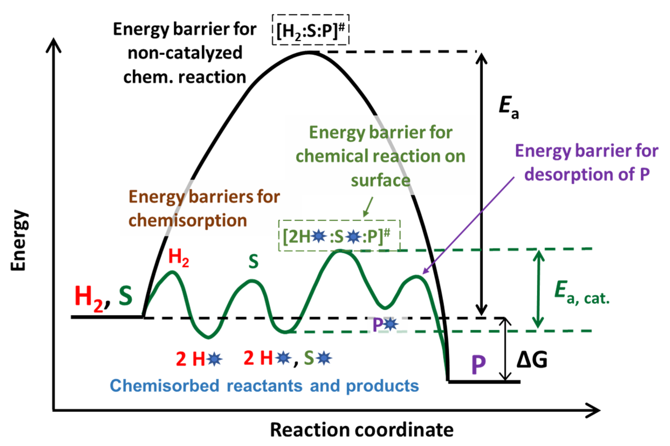 Molecules 29 04623 g001 Molecules 29 04623 g001