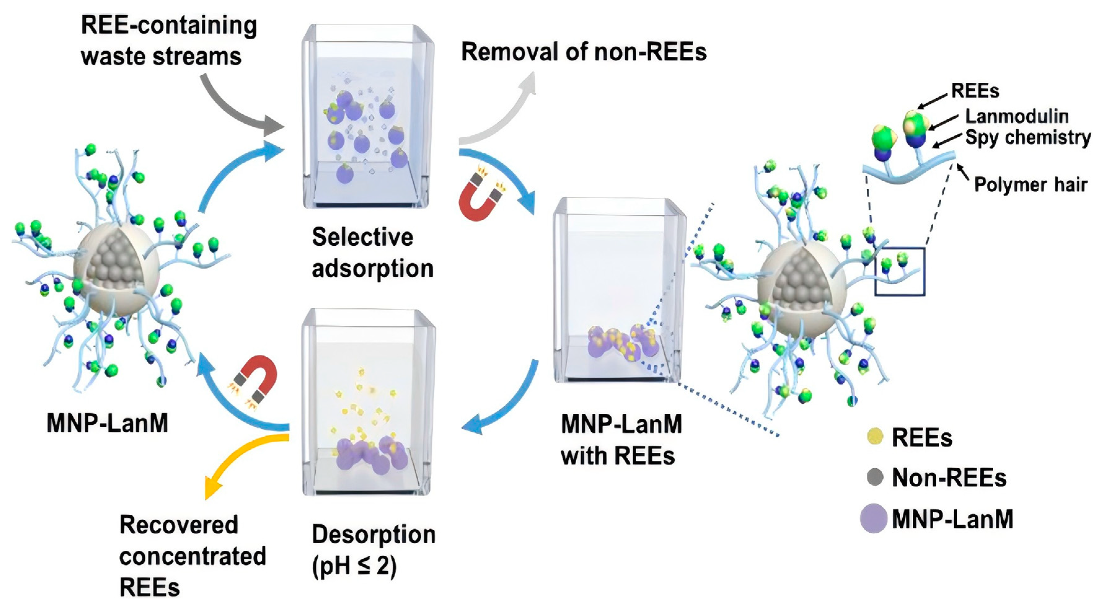 Molecules 29 04624 g008