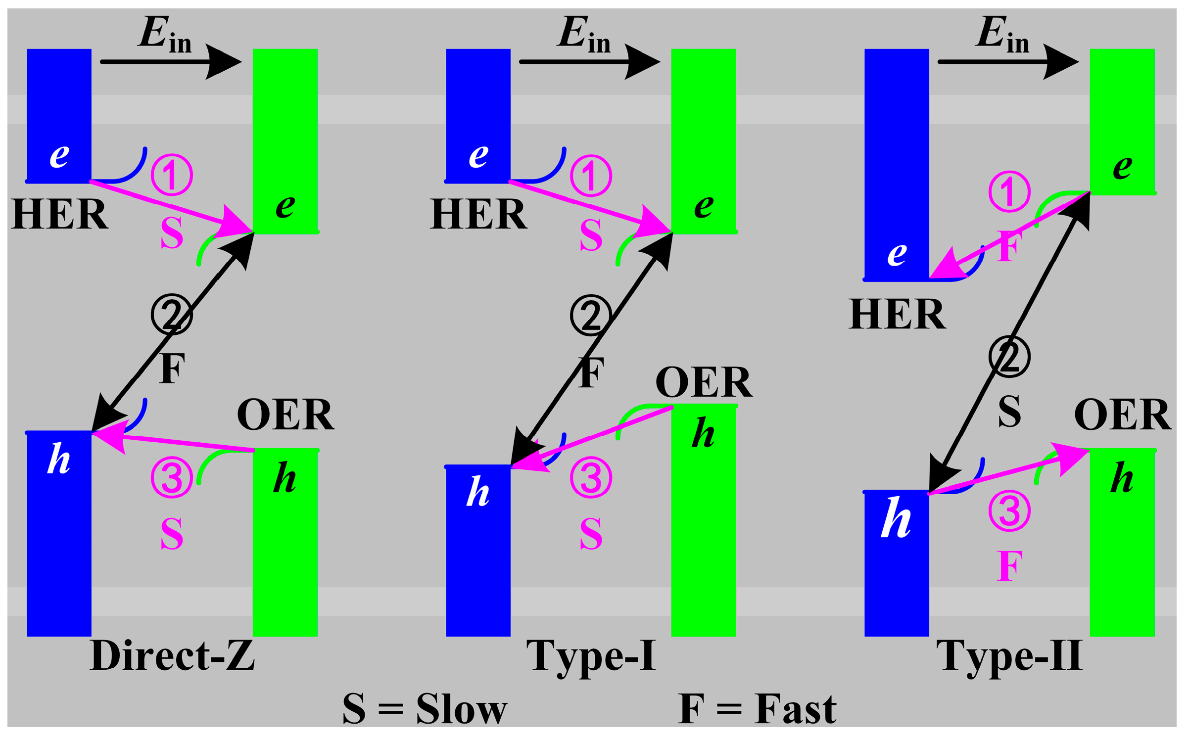 Molecules 29 04638 g007