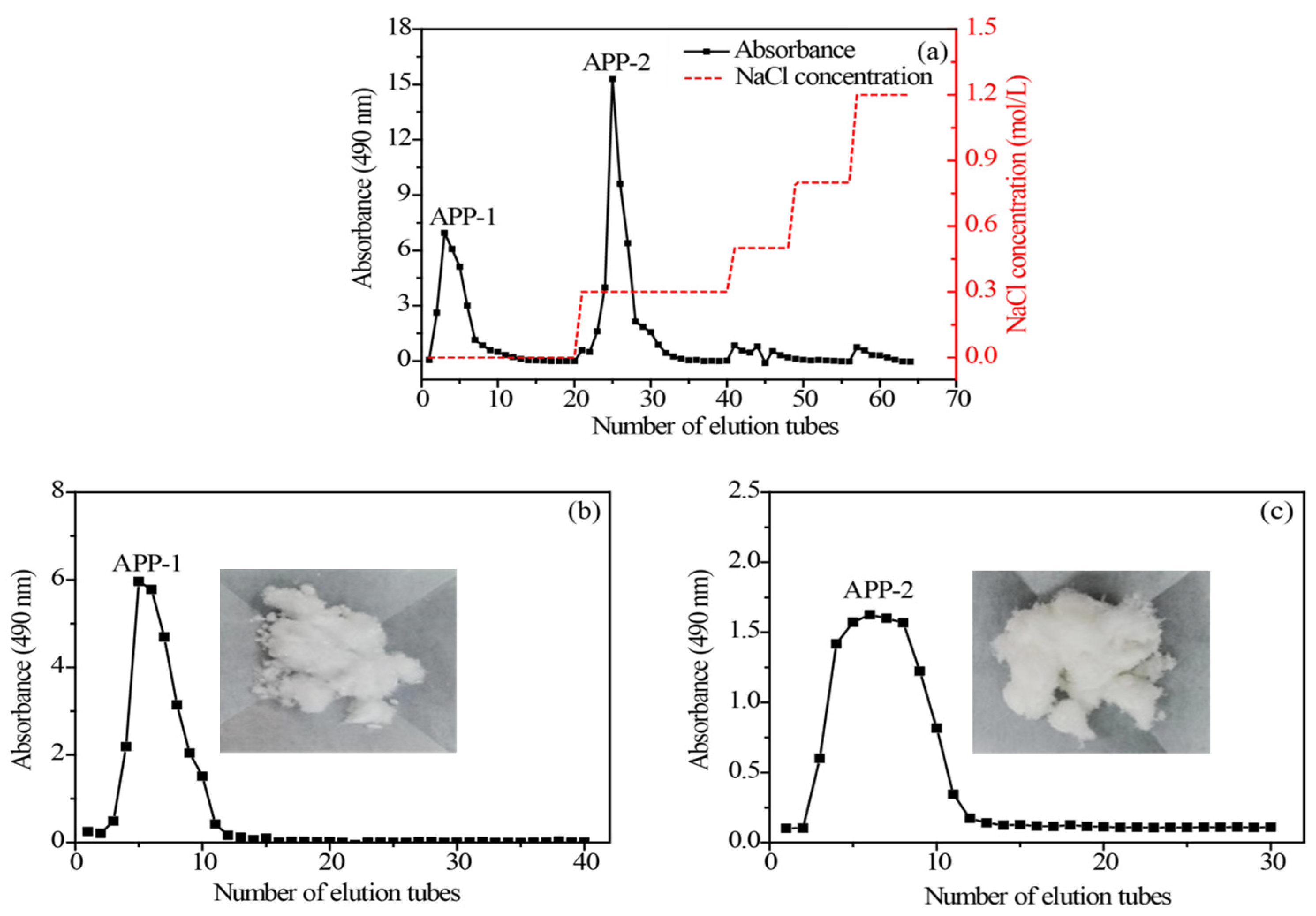 Molecules 29 04645 g004