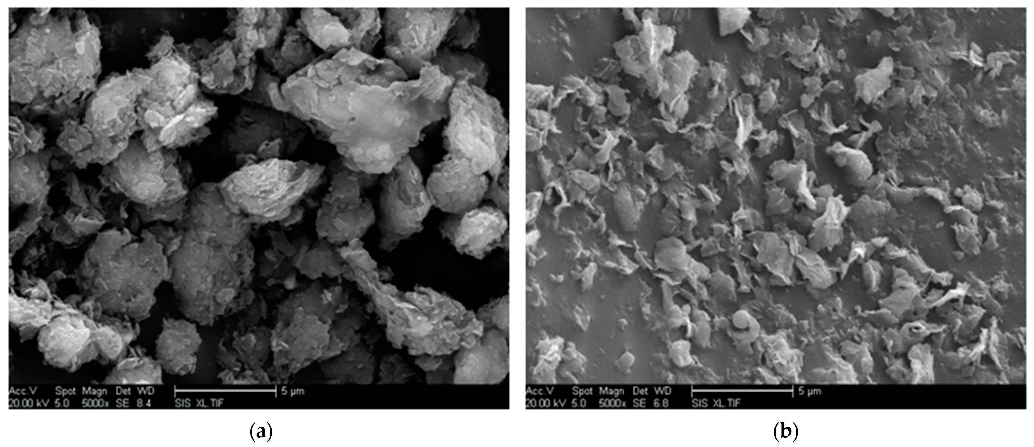 Molecules 29 04650 g004
