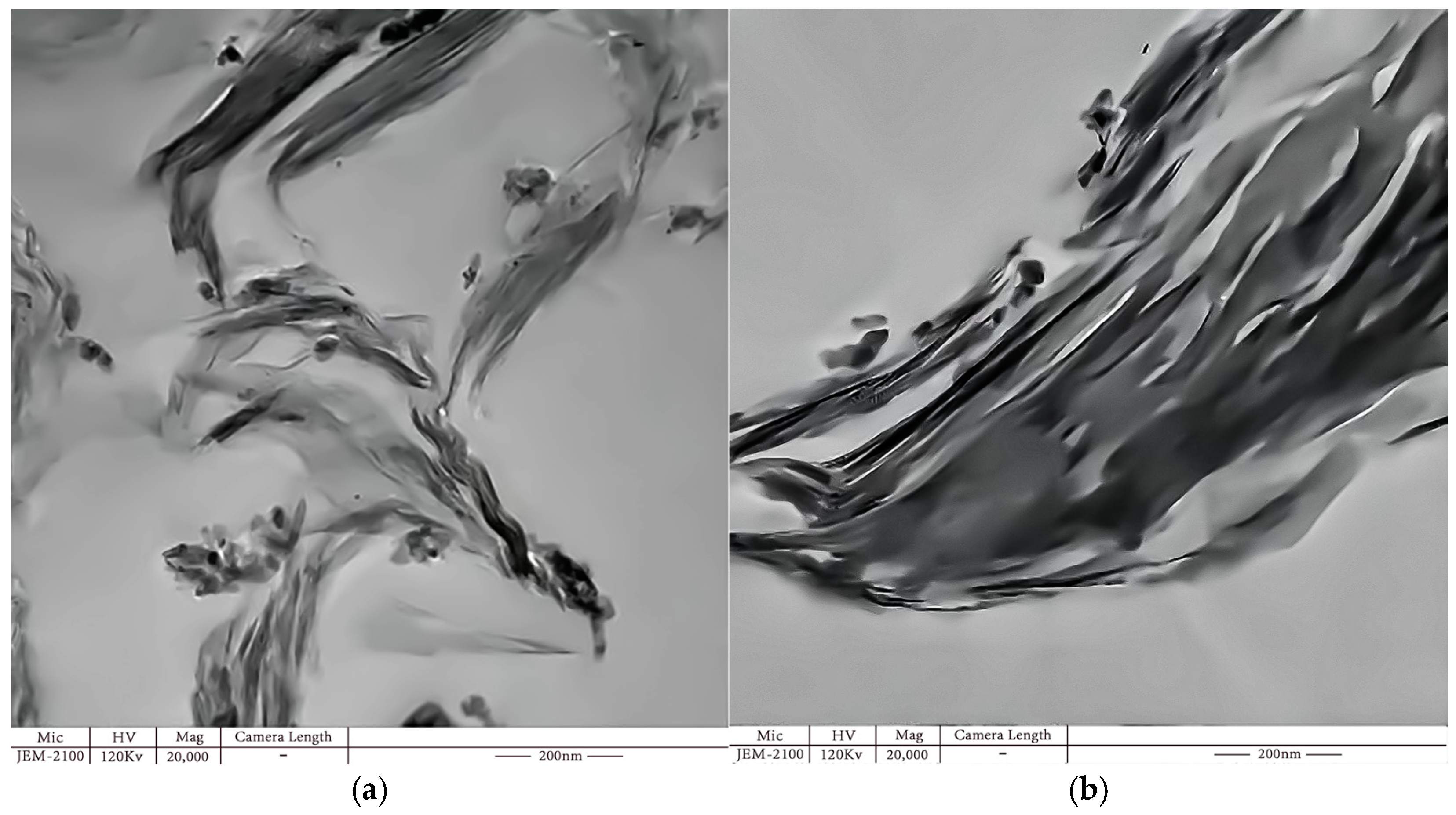 Molecules 29 04650 g005