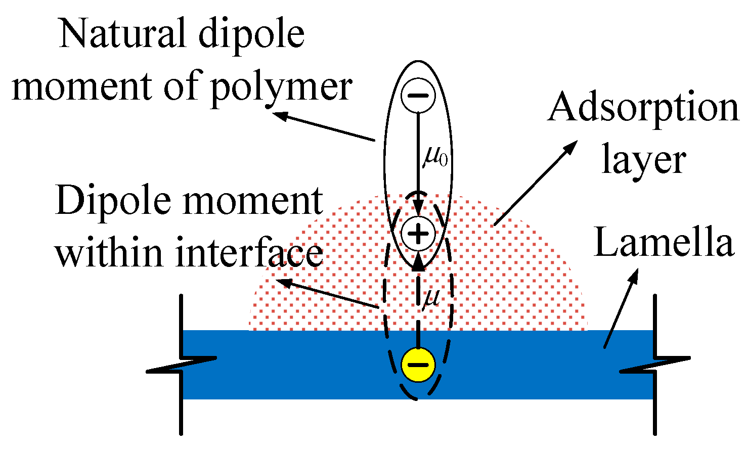 Molecules 29 04650 g006