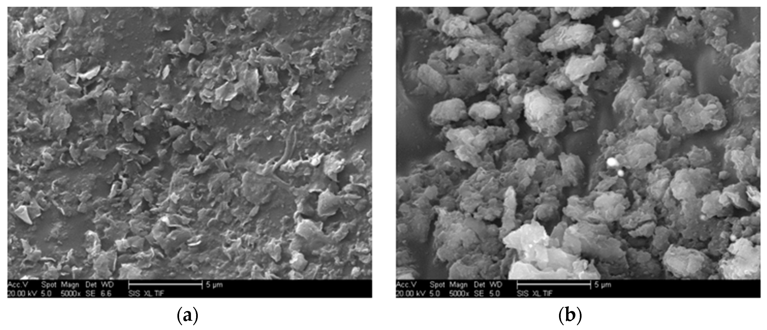 Molecules 29 04650 g014