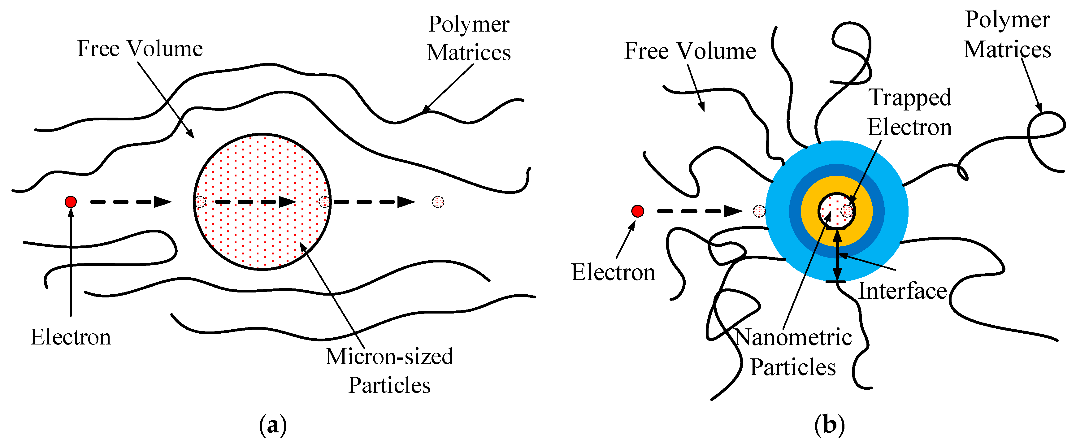 Molecules 29 04650 g017